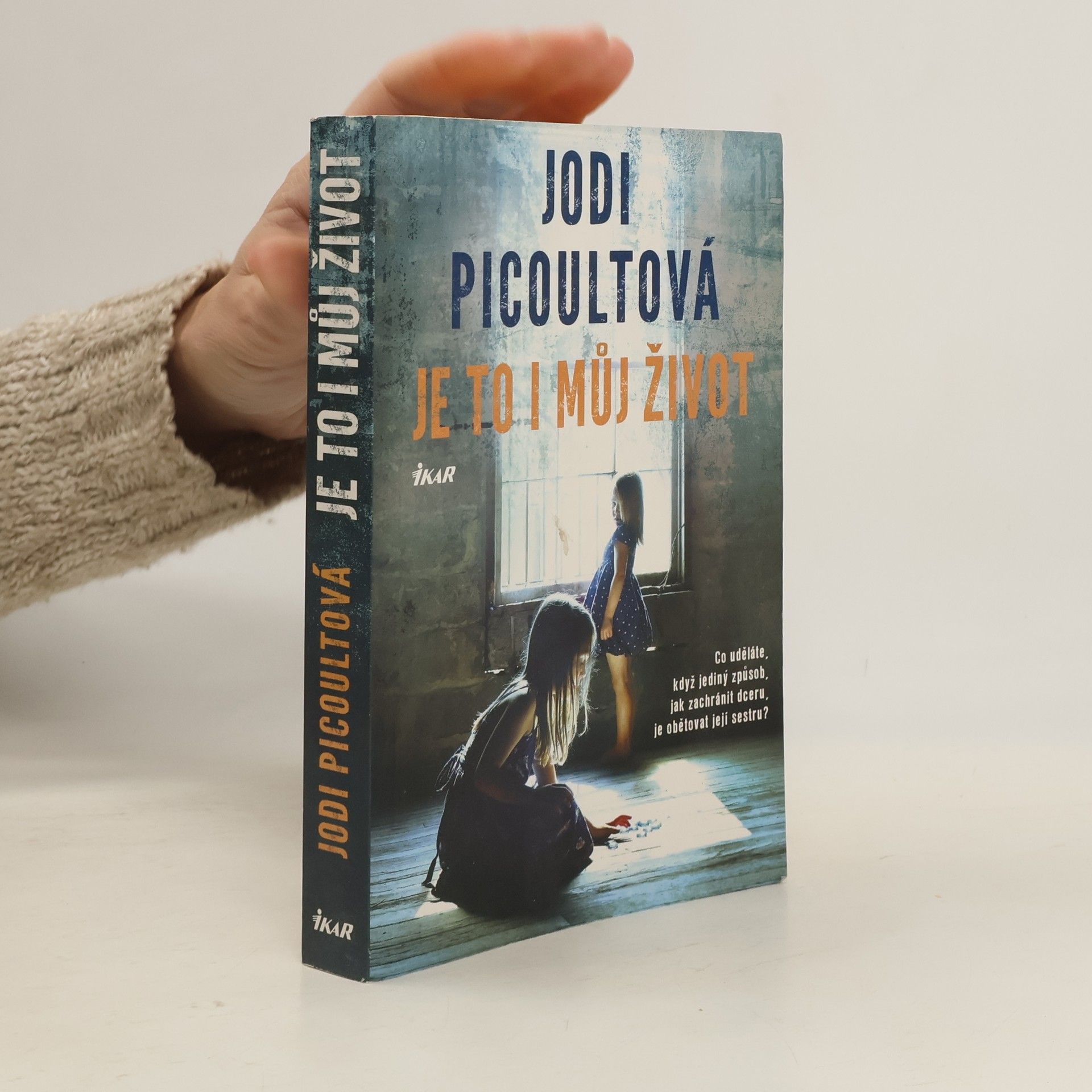 Jodi Picoult Je to i můj život
