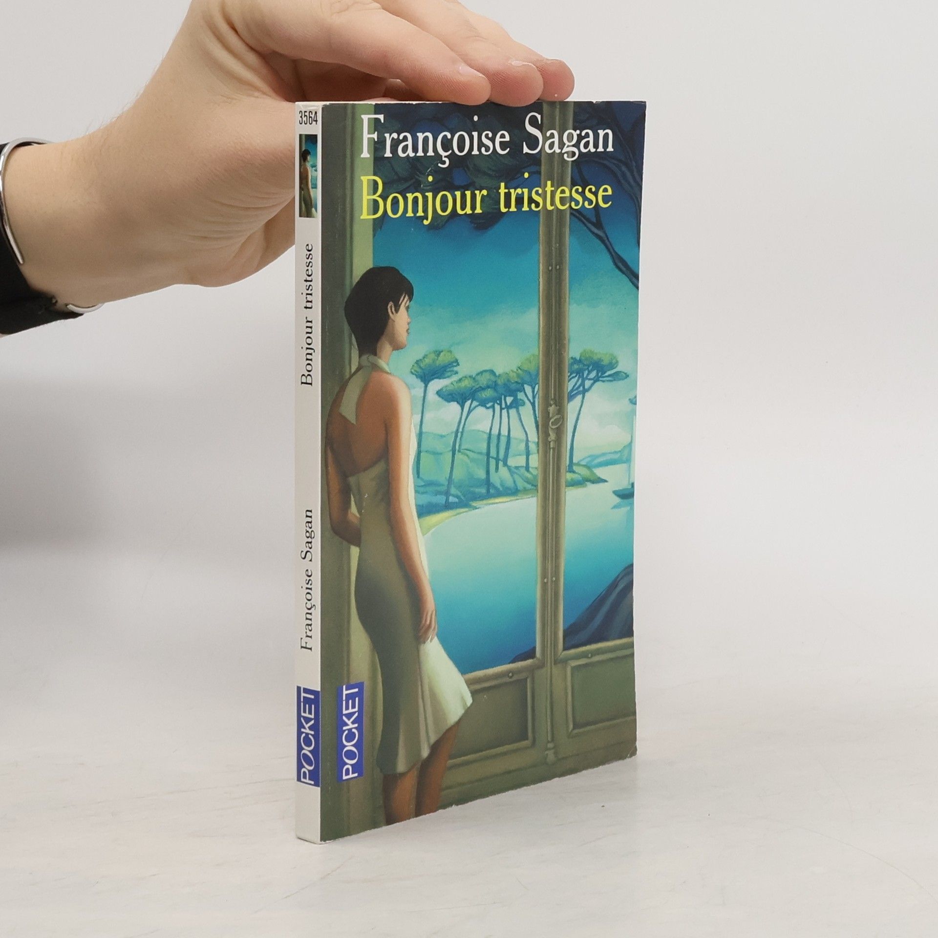 Françoise Sagan Bonjour tristesse