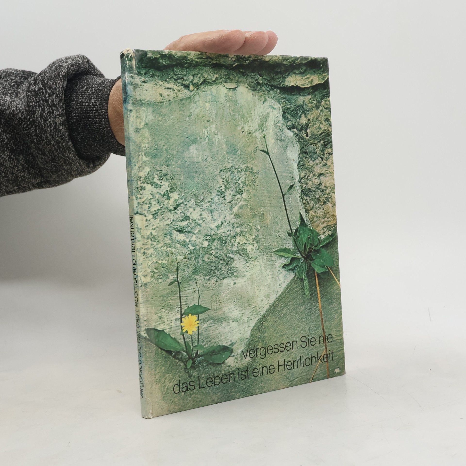 Vergessen Sie nie, das Leben ist eine Herrlichkeit