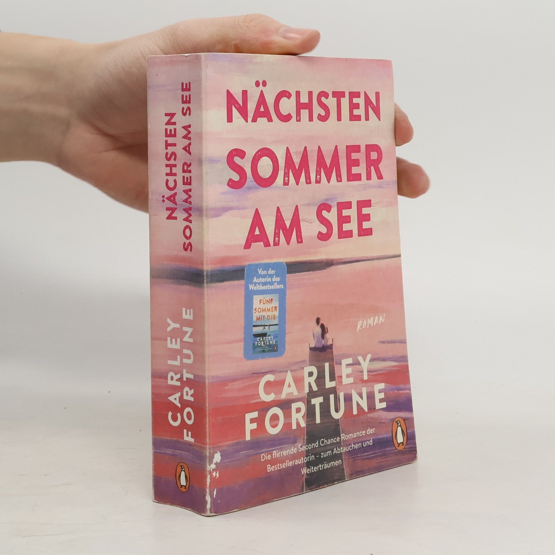 Carley Fortune Nächsten Sommer am See