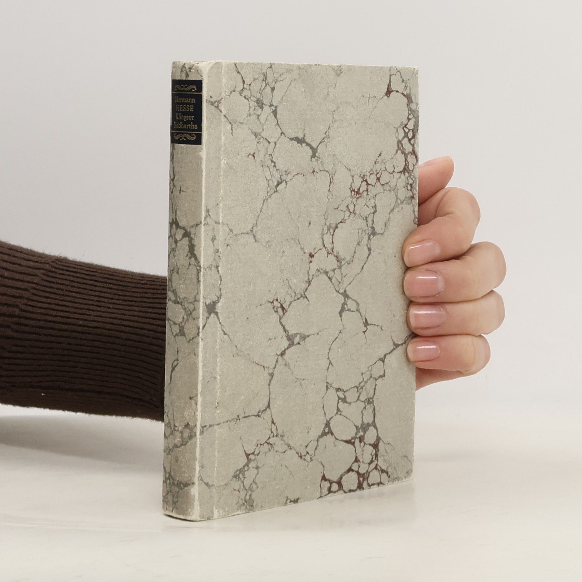 Hermann Hesse Die Romane und die grossen Erzählungen. Band 4 - Klein und Wagner / Klingsors letzter Sommer / Siddhartha