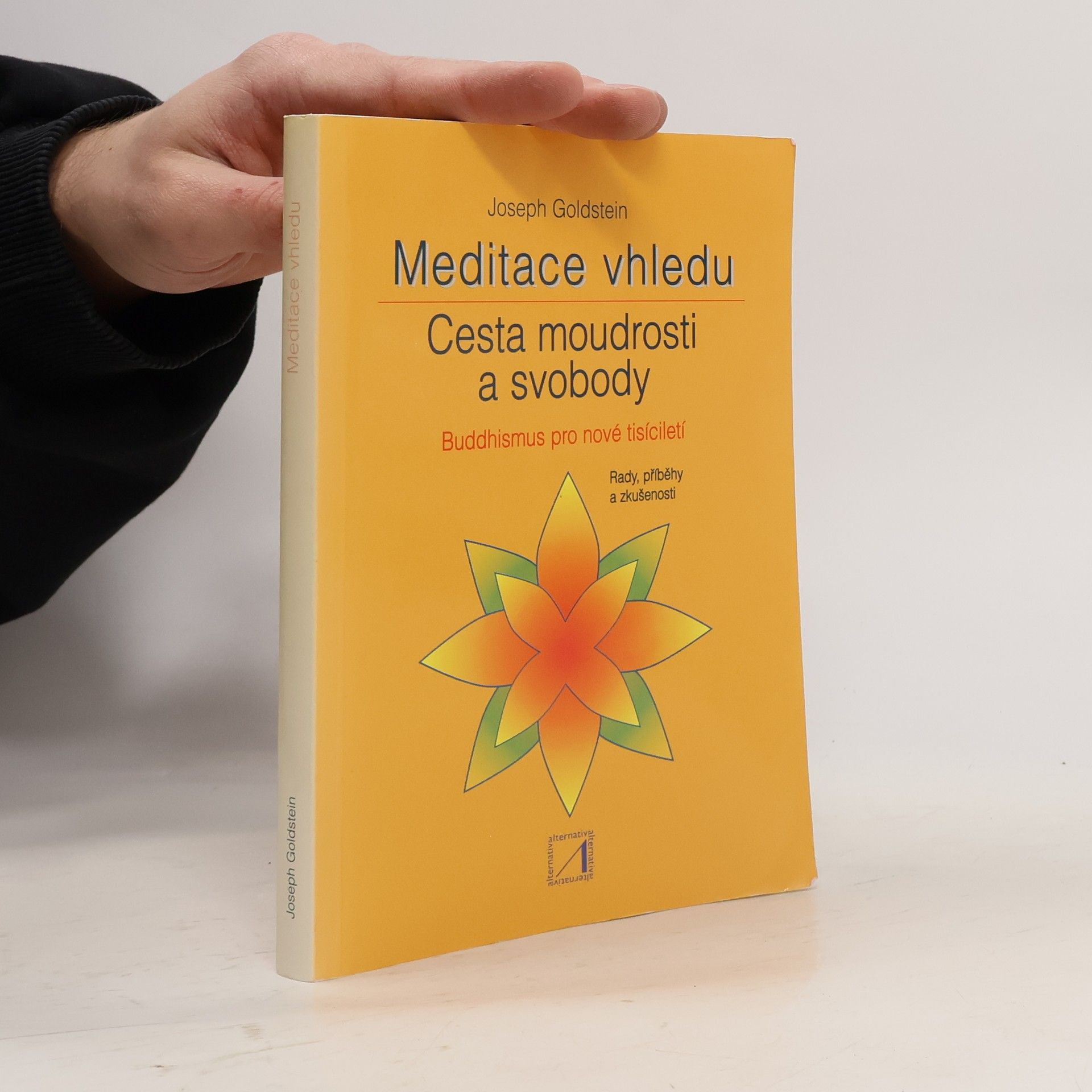 Meditace vhledu: Cesta moudrosti a svobody: Buddhismus pro nové tisíciletí