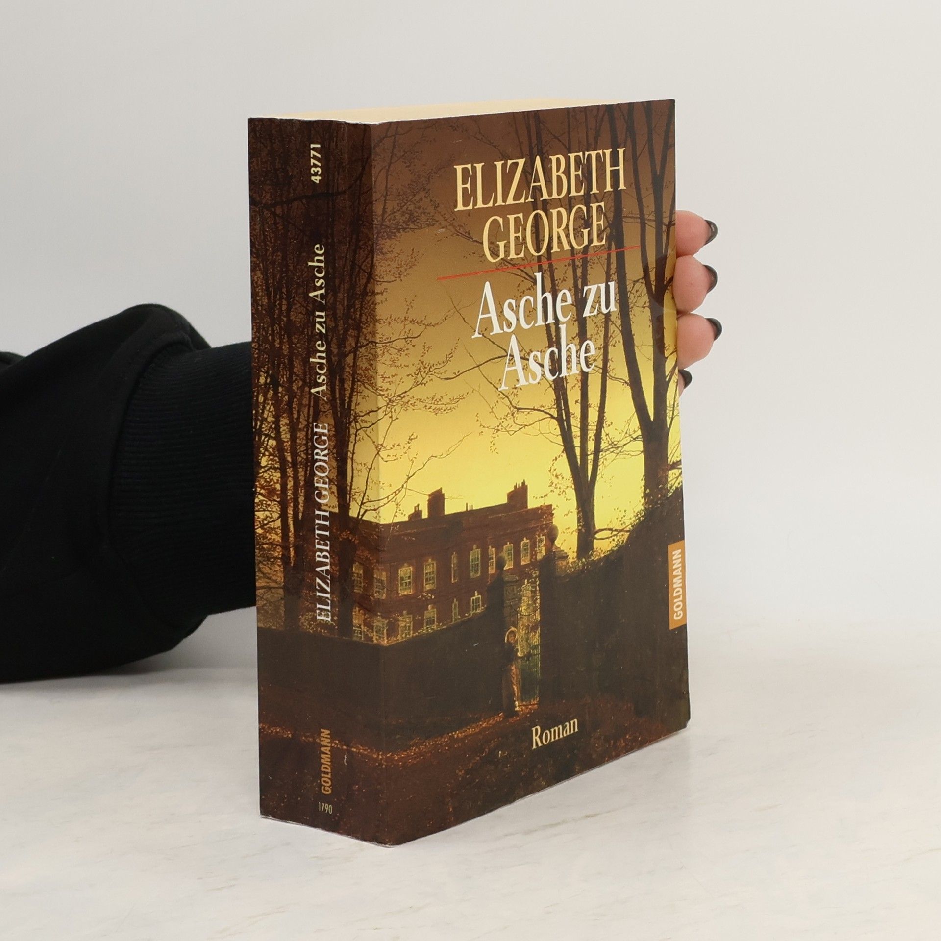 Elizabeth George Asche zu Asche