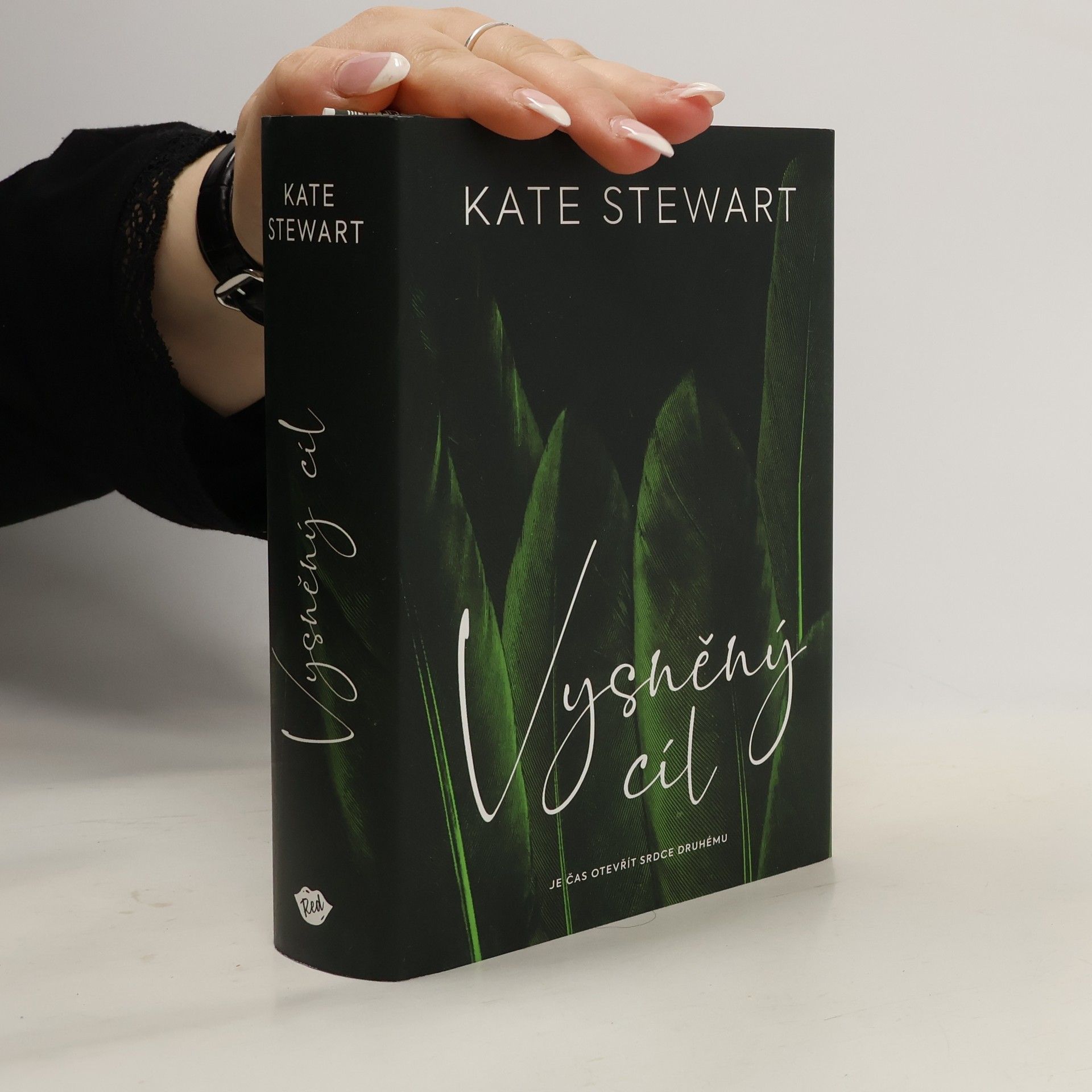 Kate Stewart Vysněný cíl. Kniha třetí