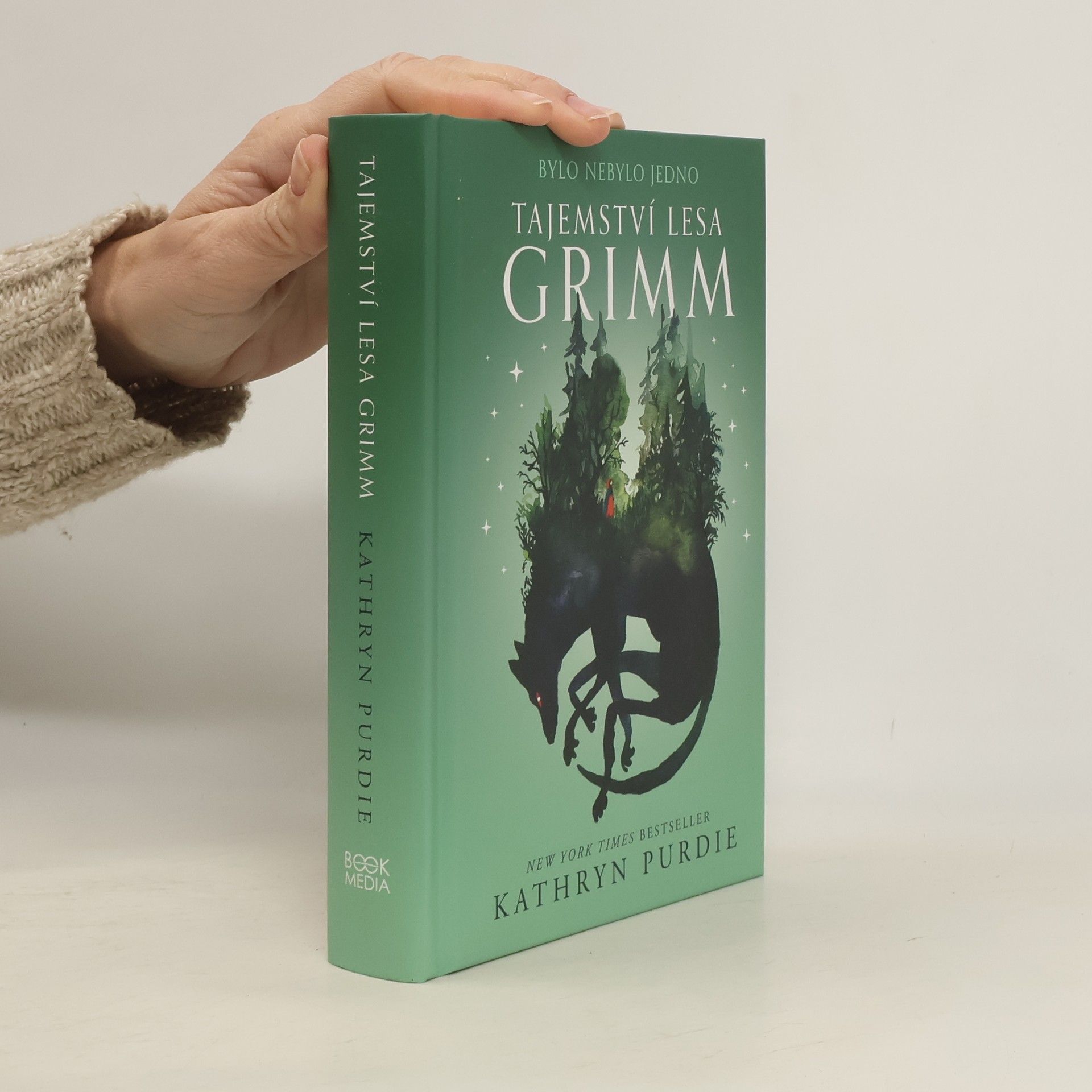 Tajemství lesa Grimm