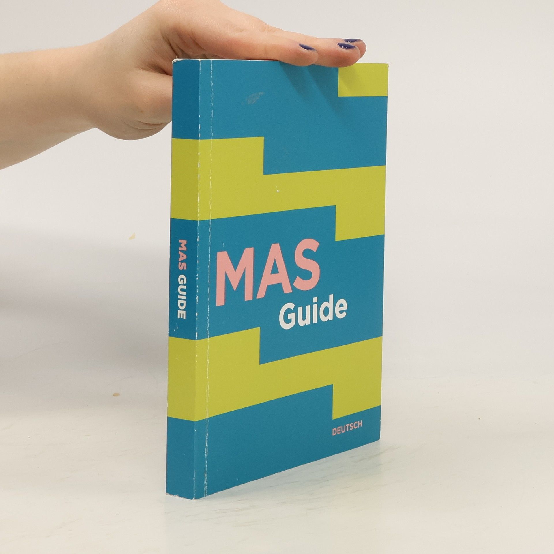 Leen Beyers MAS-Guide