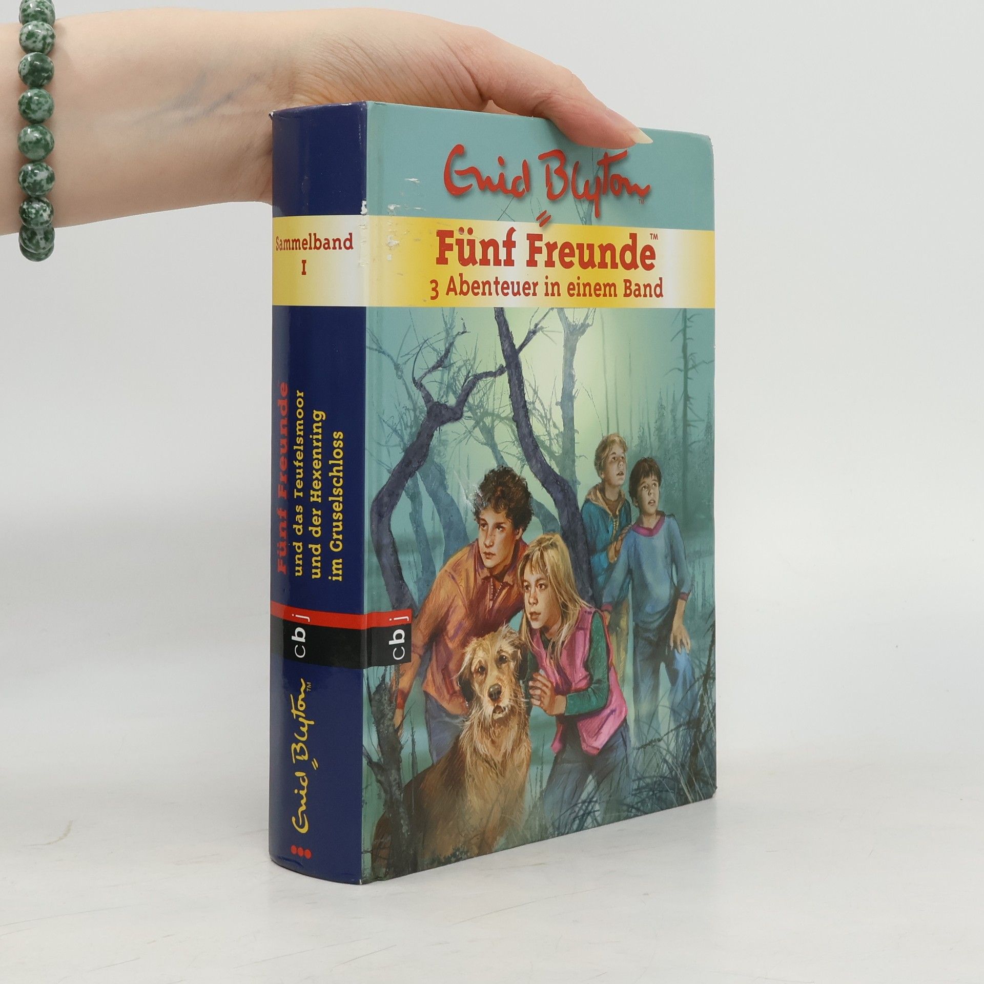 Enid Blyton Sammelband 1. Fünf Freunde. 3 Abenteuer in einem Band