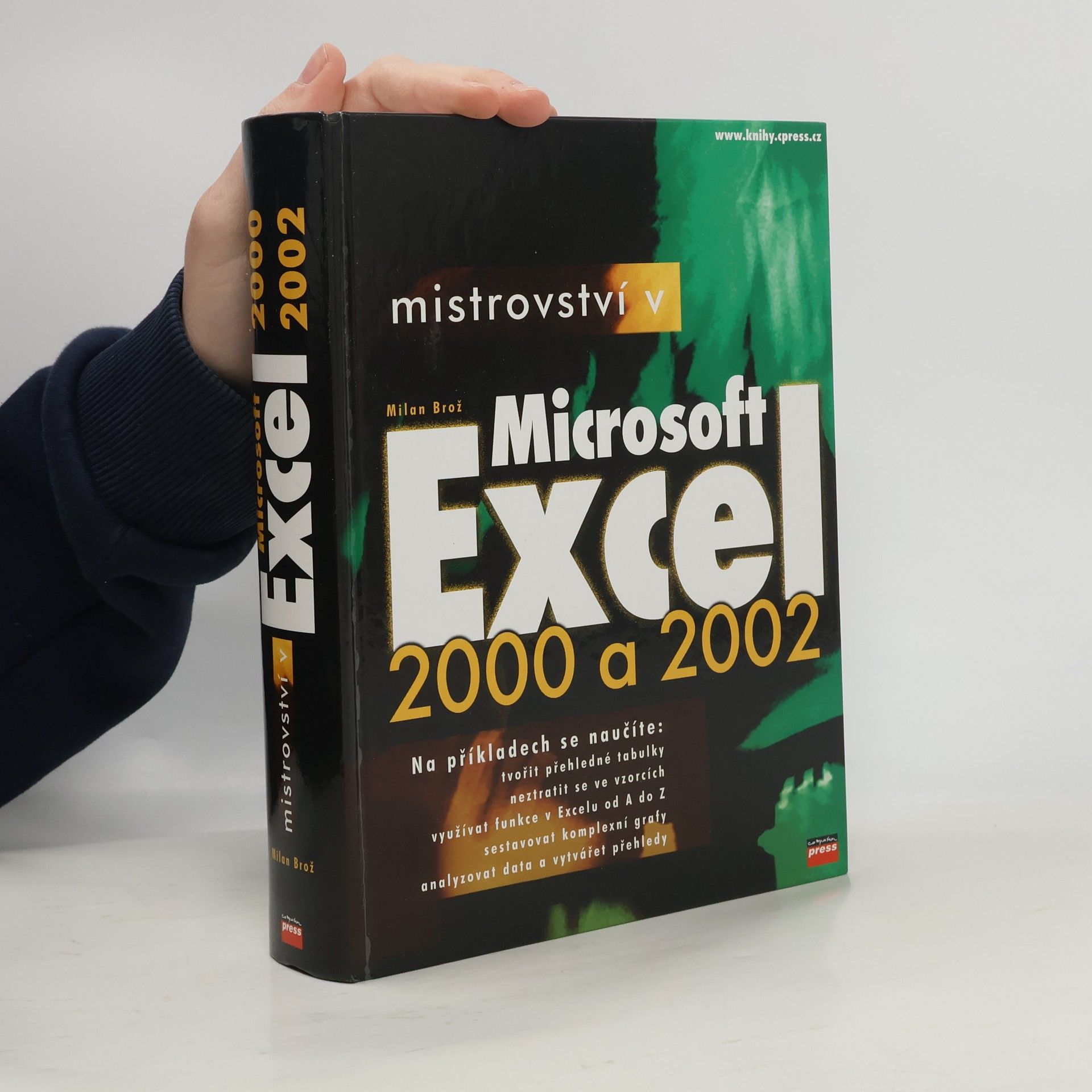Brož Milan Mistrovství v Microsoft Excel 2000 a 2002