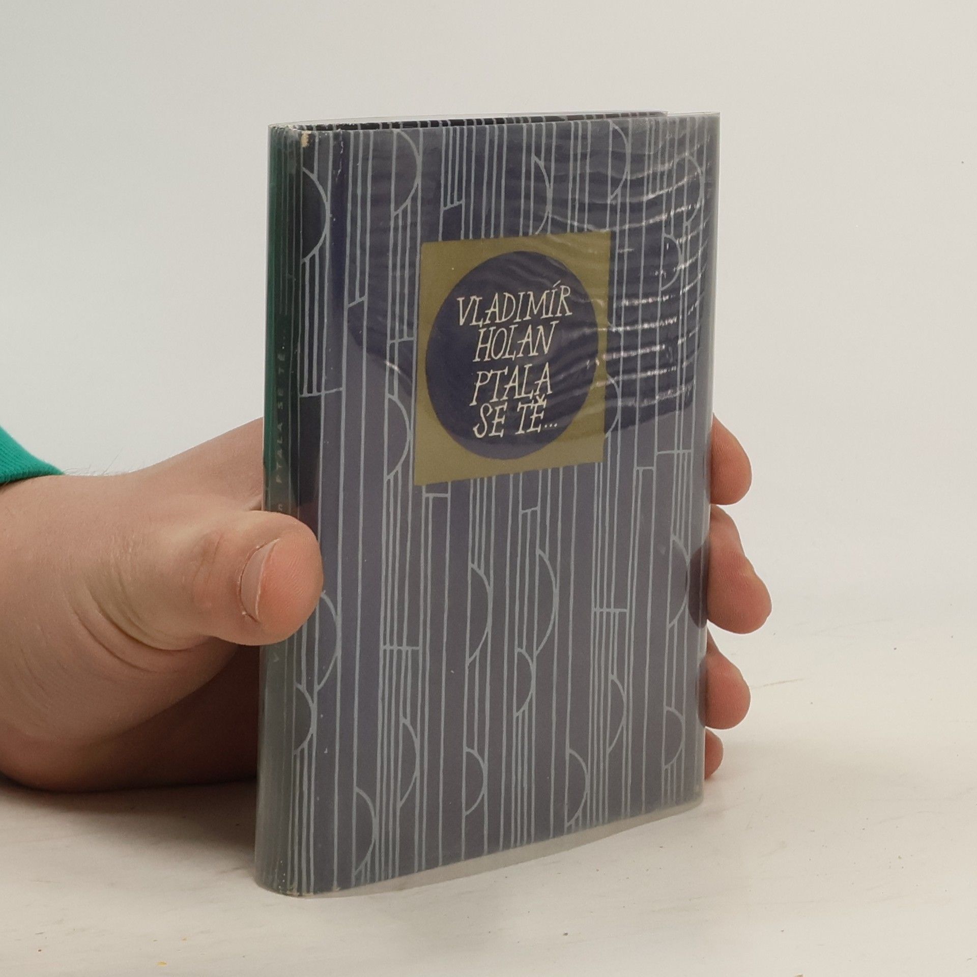 Vladimír Holan Ptala se tě