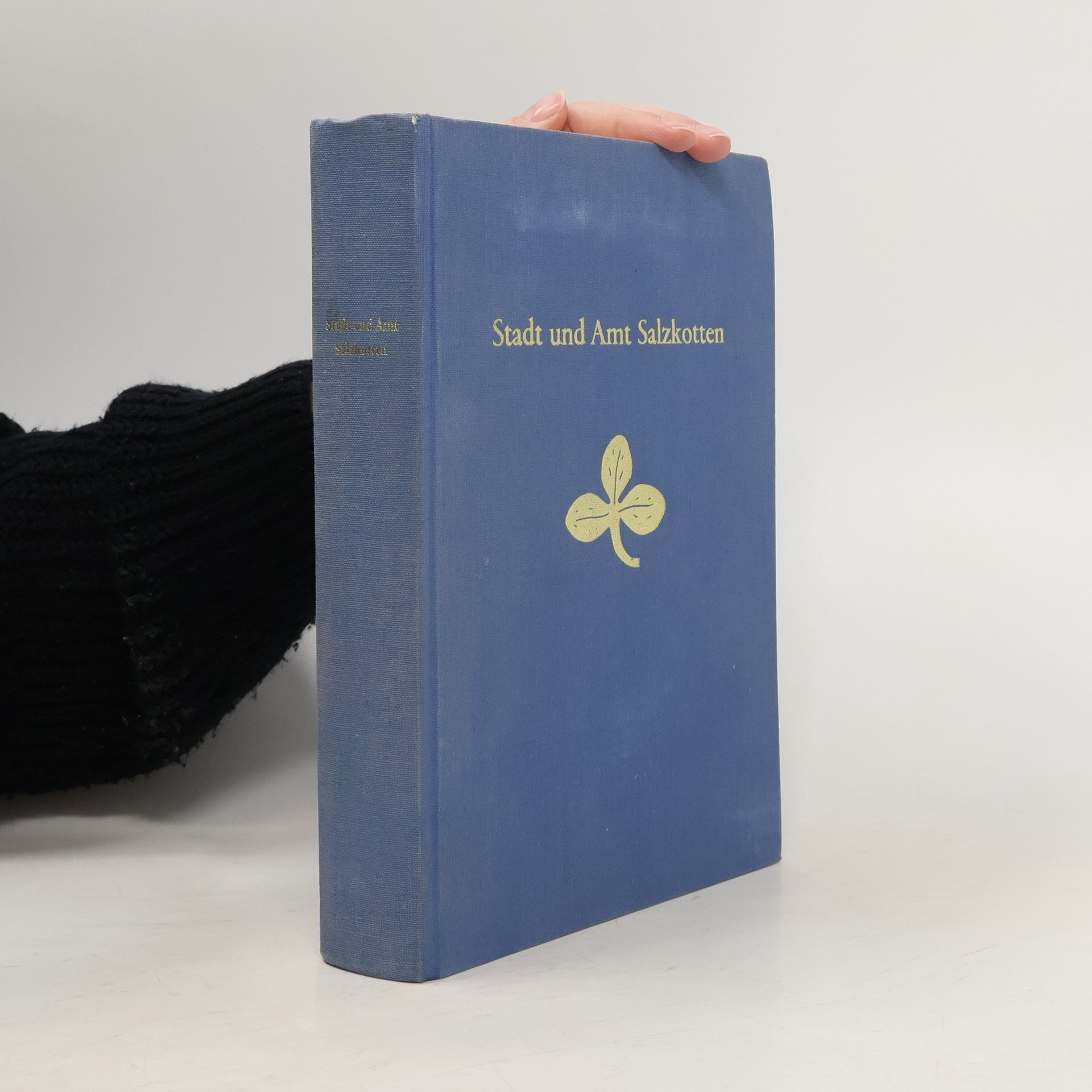 Franziska Knoke Stadt und Amt Salzkotten