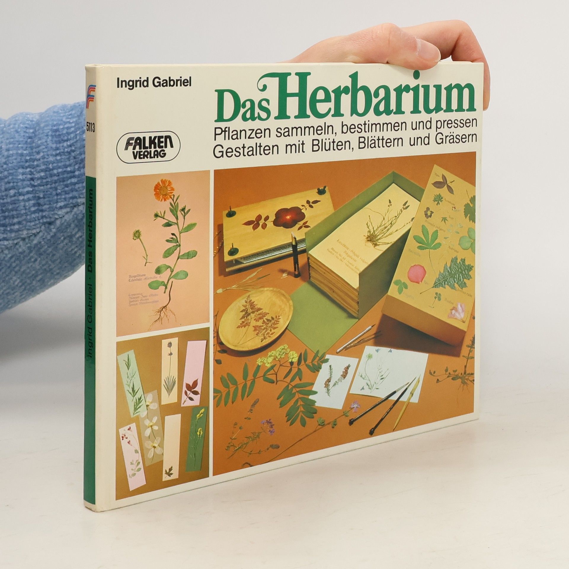 Ingrid Gabriel Das Herbarium