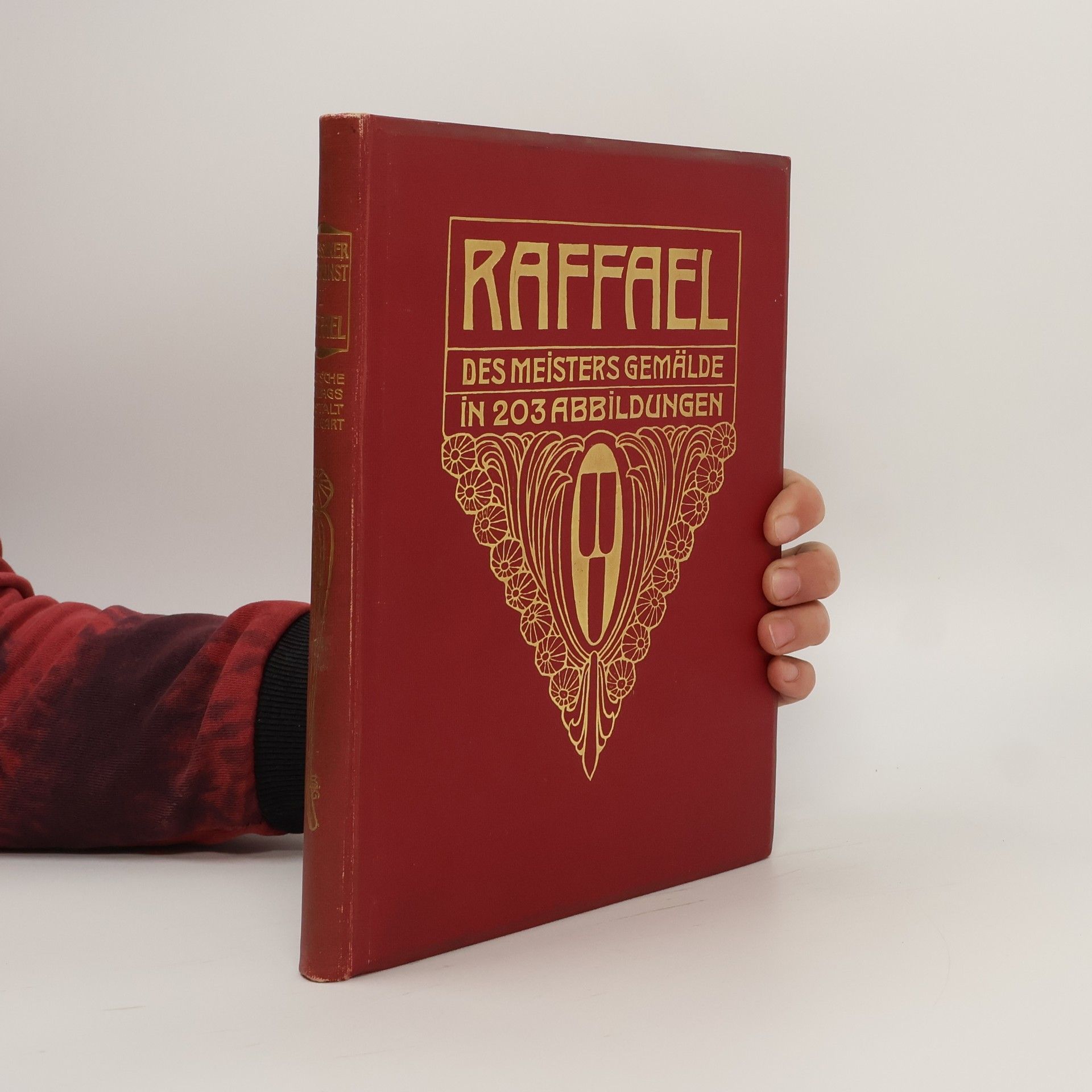 AA.VV. Klassiker der Kunst in Gesamtausgaben I. Raffael