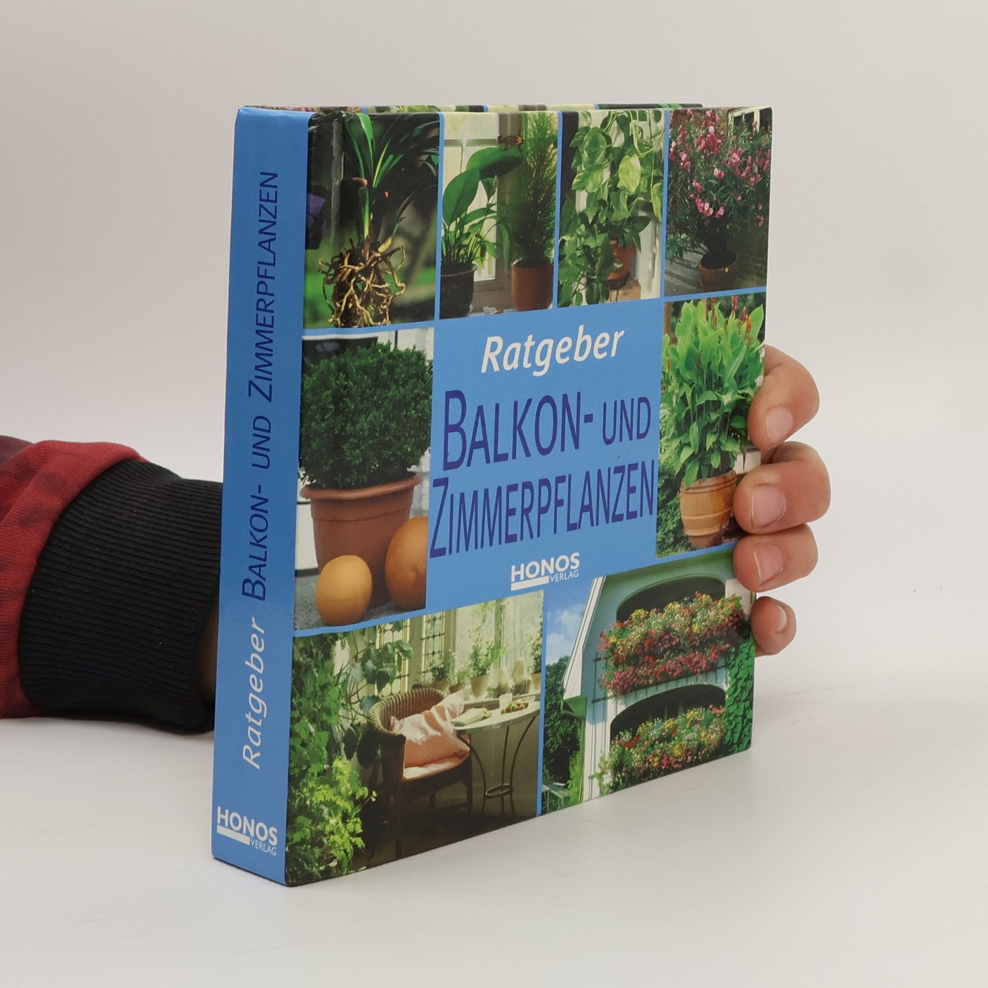 Balkon- und Zimmerpflanzen