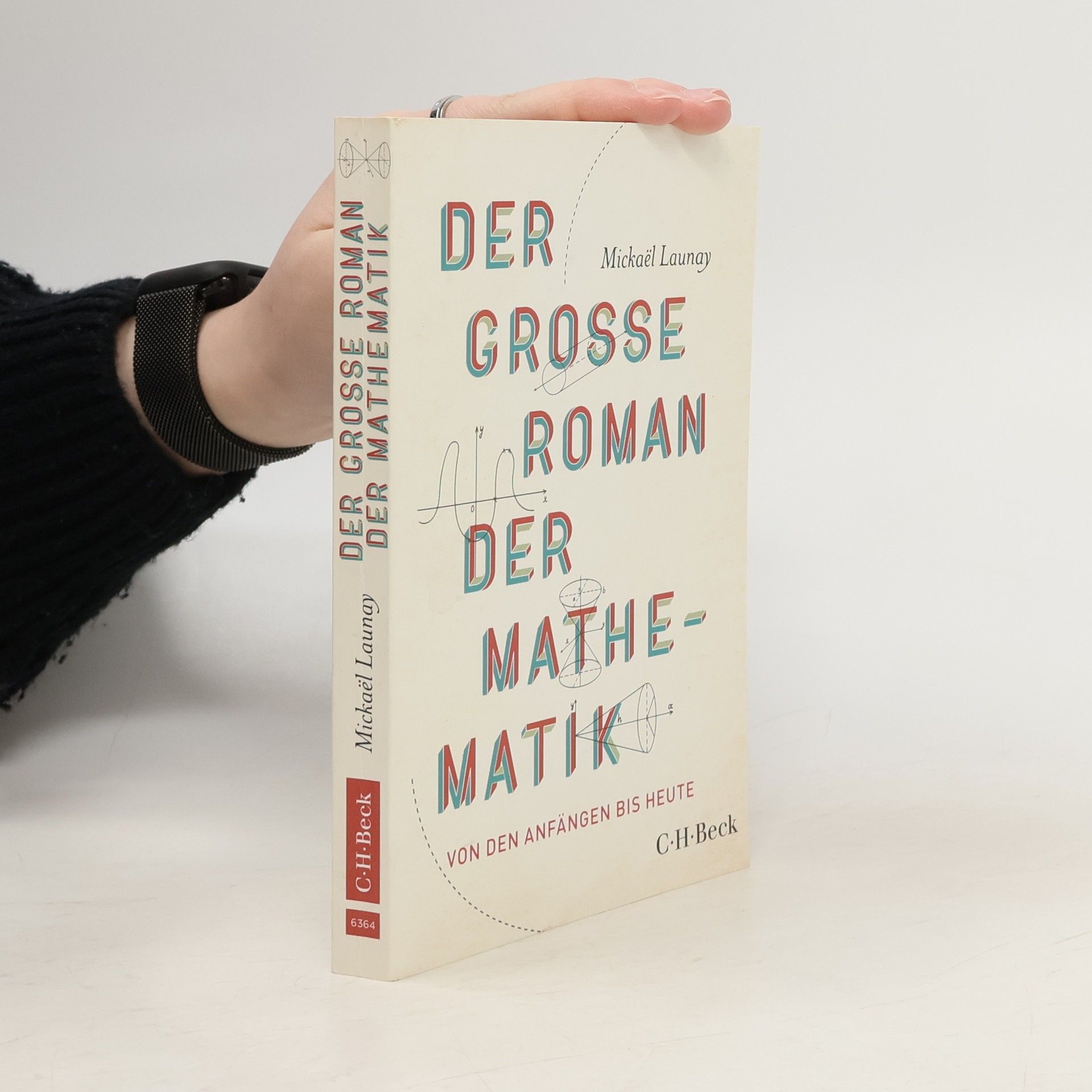 Mickaël Launay Der große Roman der Mathematik