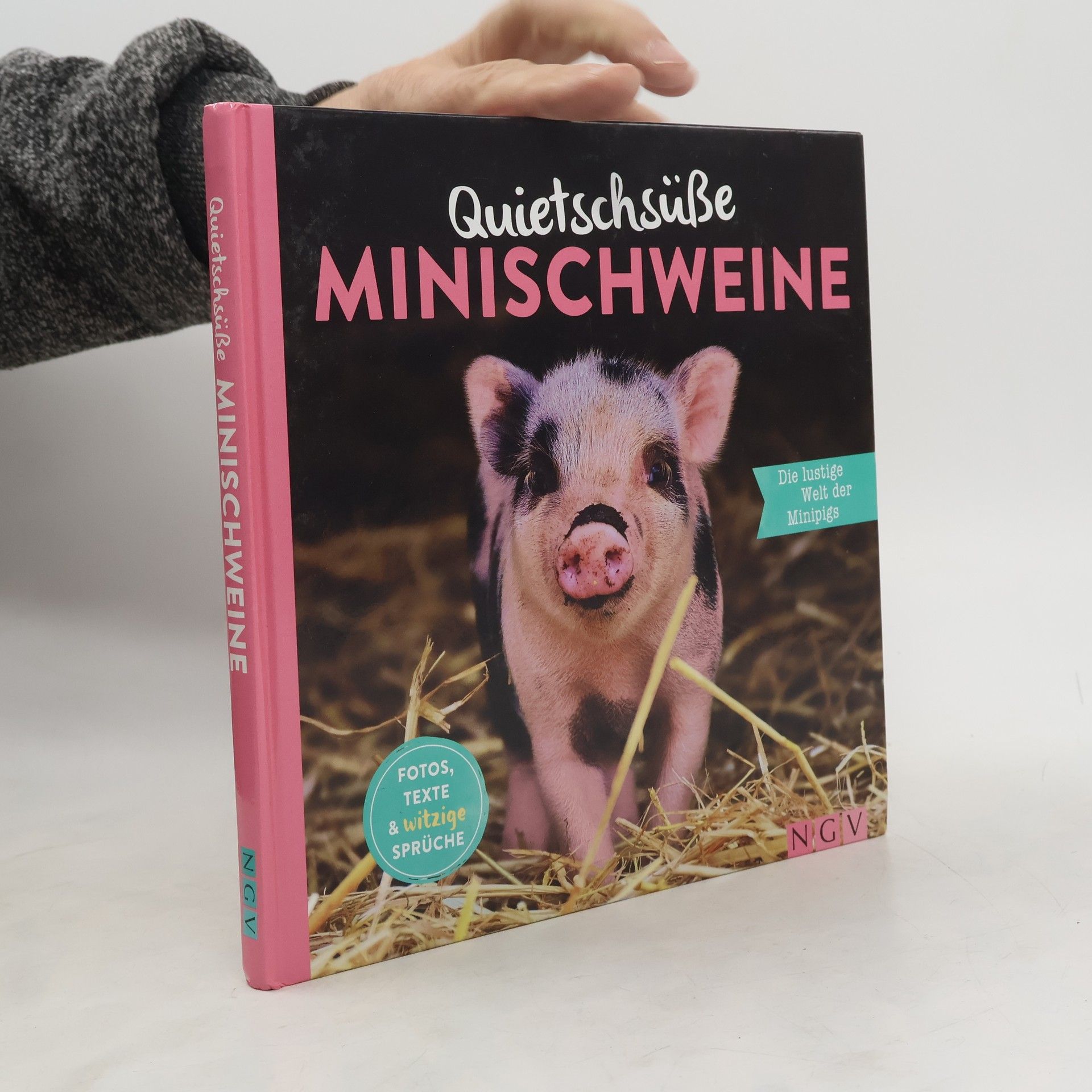 Katharina Bensch Quietschsüße Minischweine