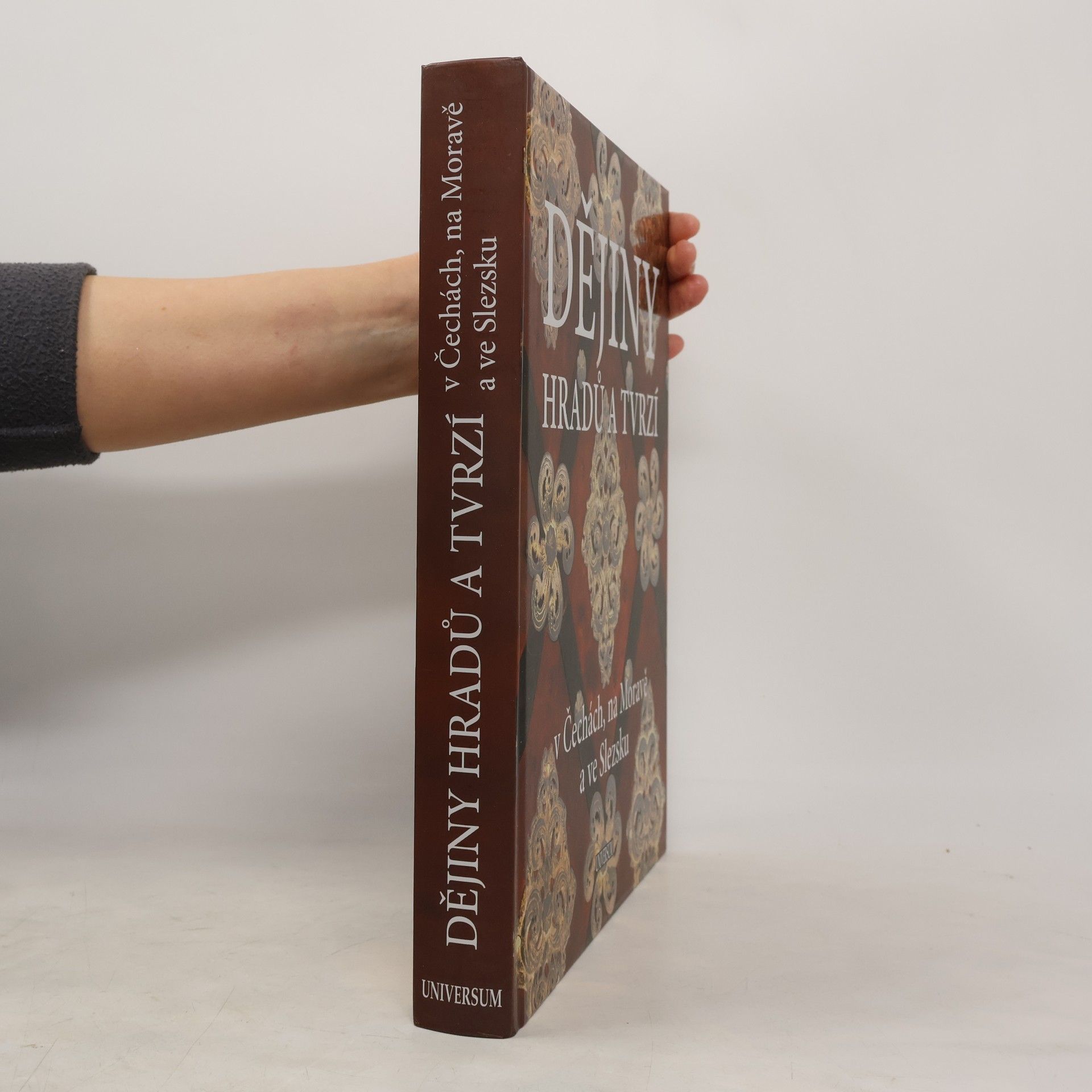 Petr David Dějiny hradů a tvrzí v Čechách, na Moravě a ve Slezsku