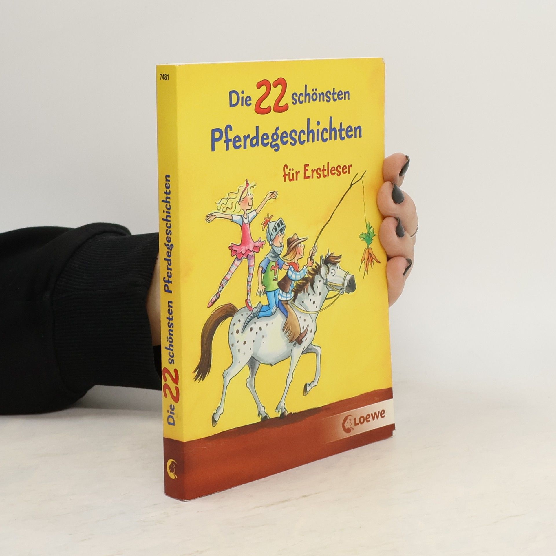 Collectif d'auteurs Die 22 schönsten Pferdegeschichten für Erstleser