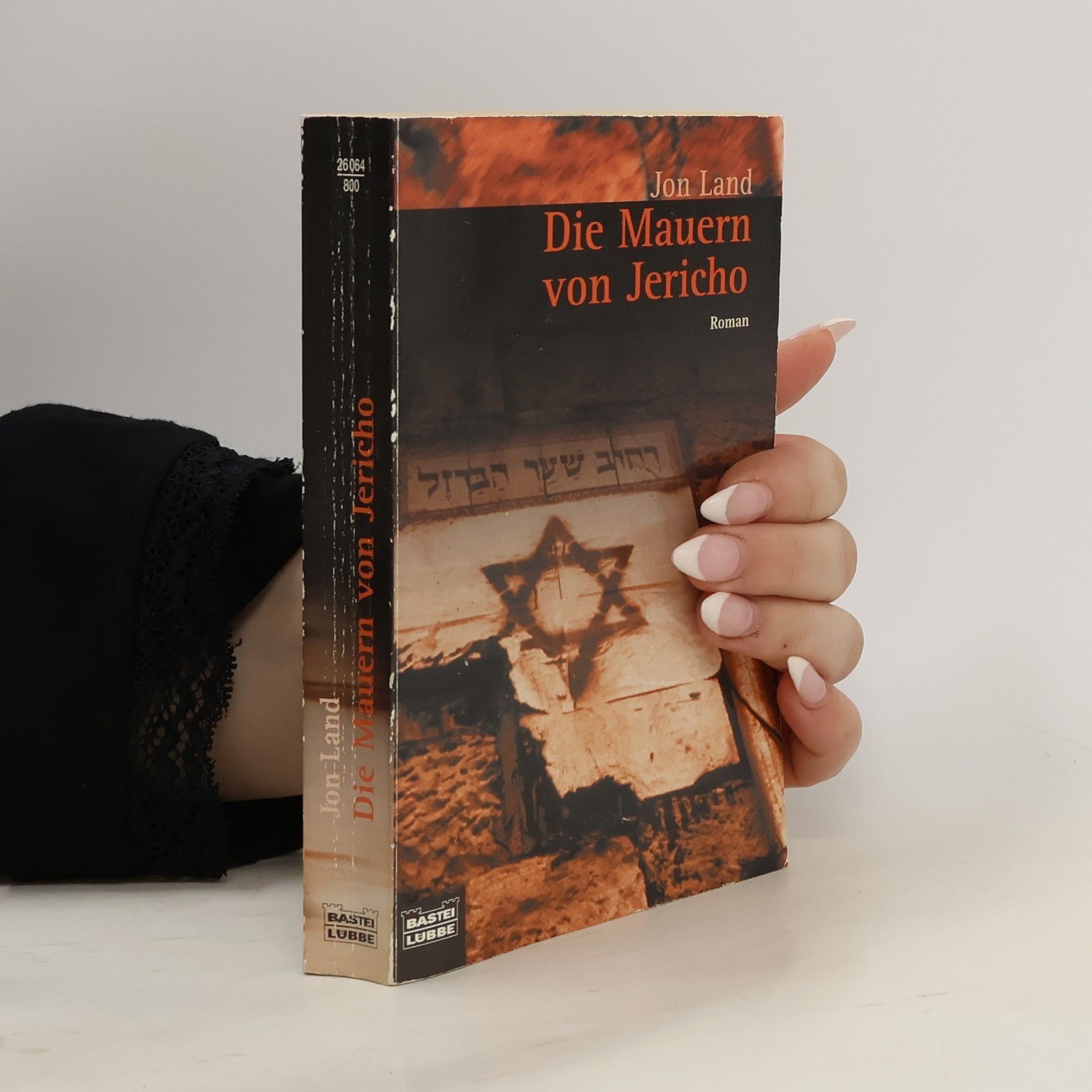 Jon Land Die Mauern von Jericho.