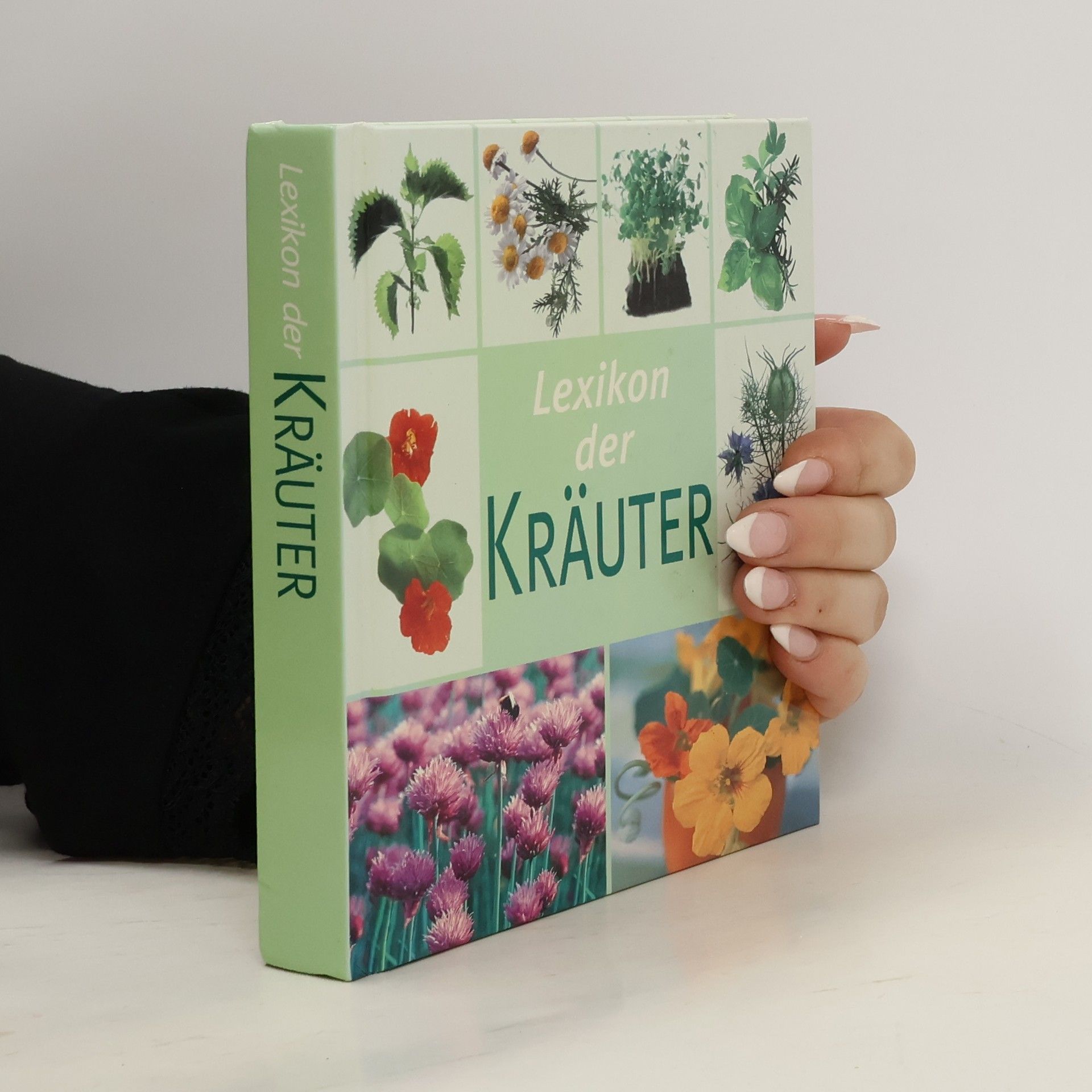 Hans W. Kothe Lexikon der Kräuter