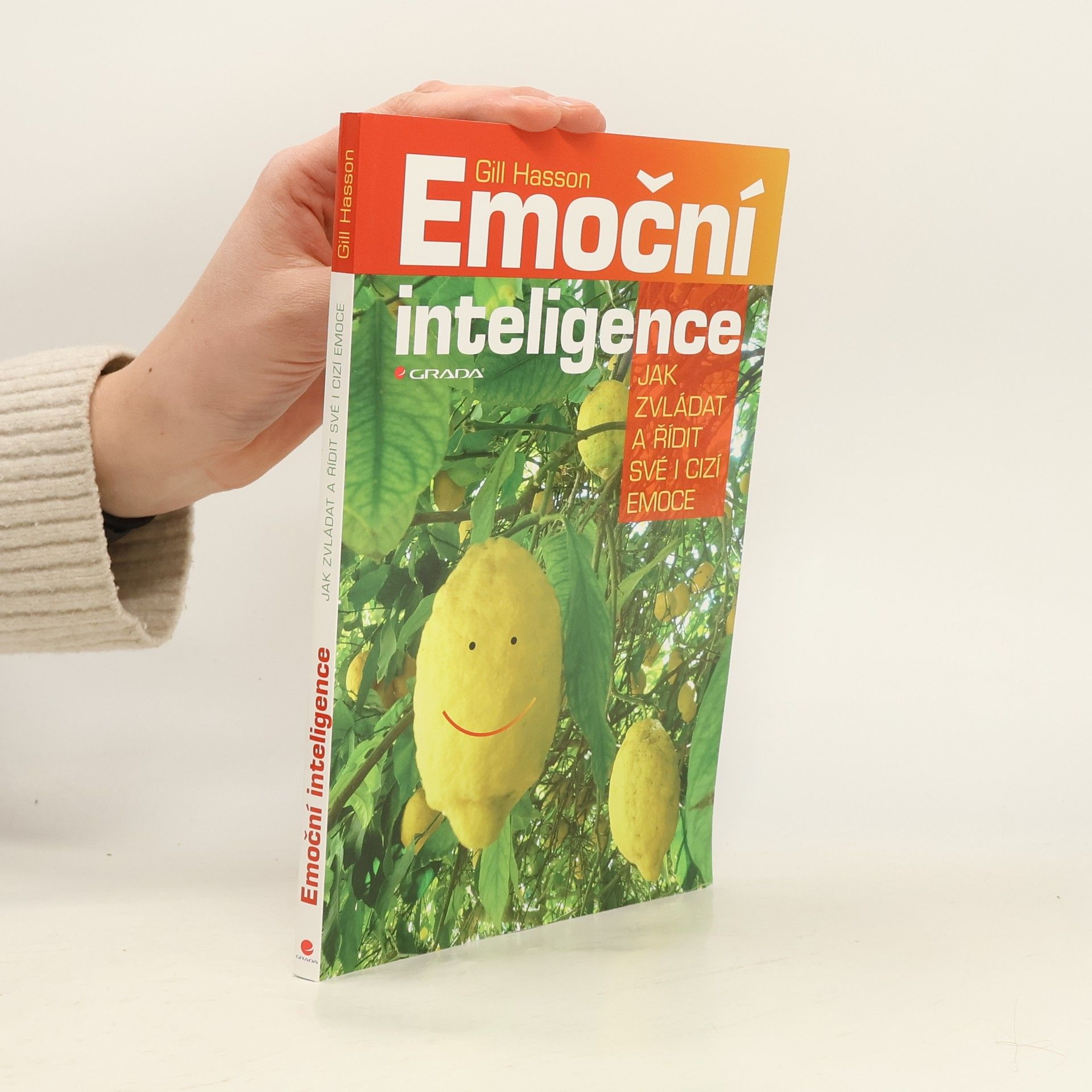 Gill Hasson Emoční inteligence