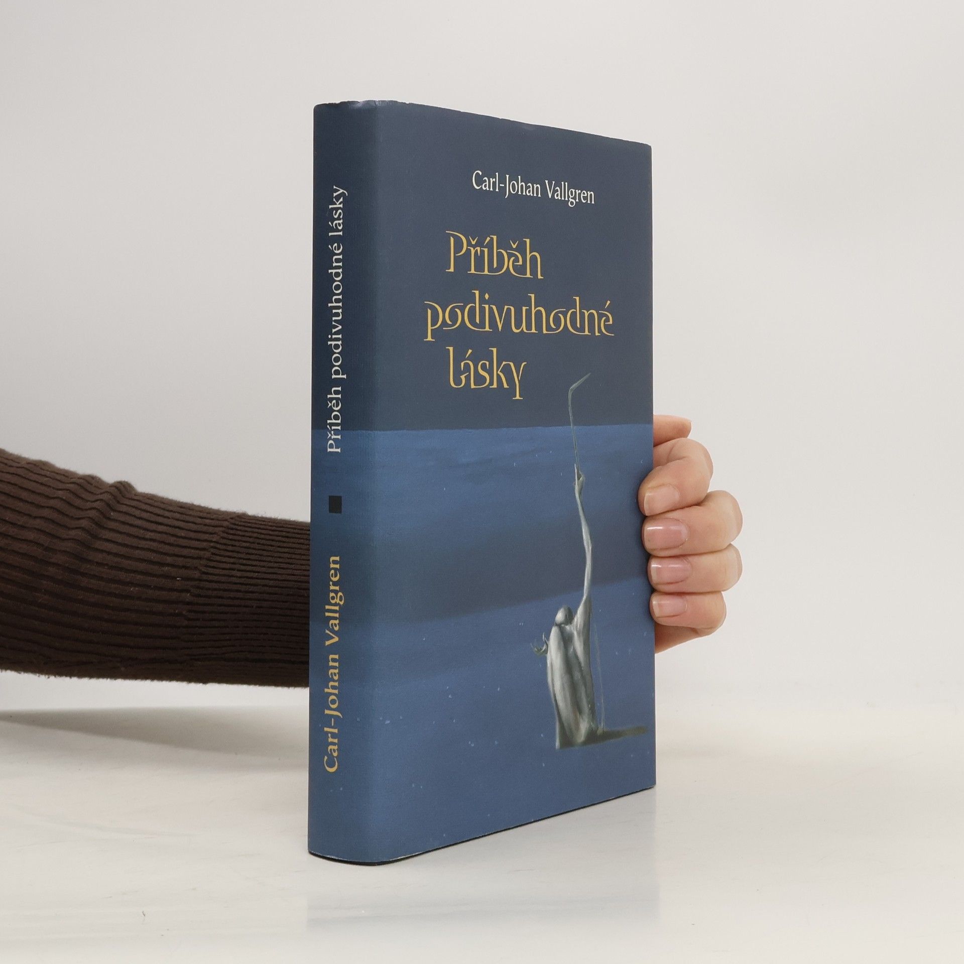 Carl-Johan Vallgren Příběh podivuhodné lásky