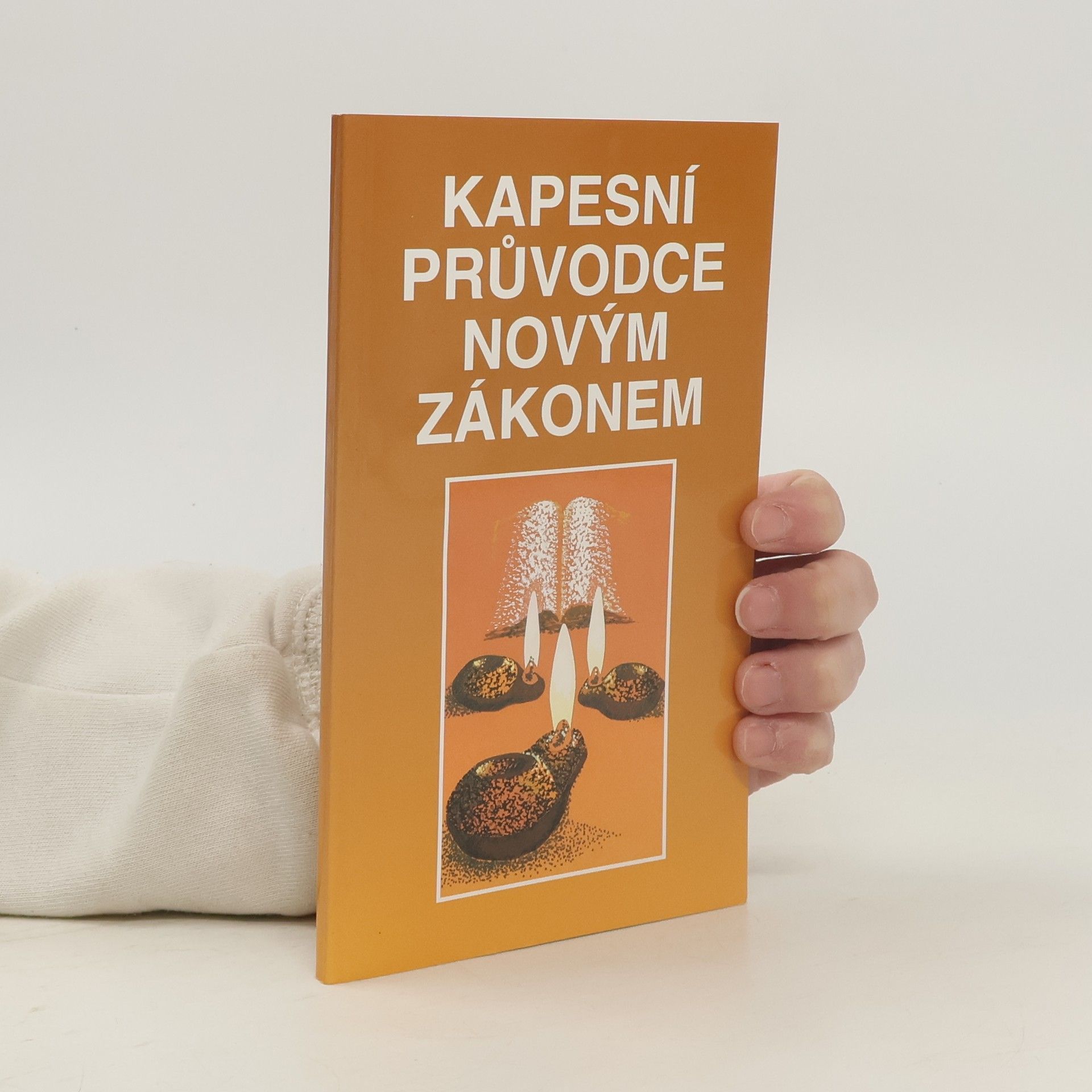 Autorenkollektiv Kapesní průvodce Novým zákonem