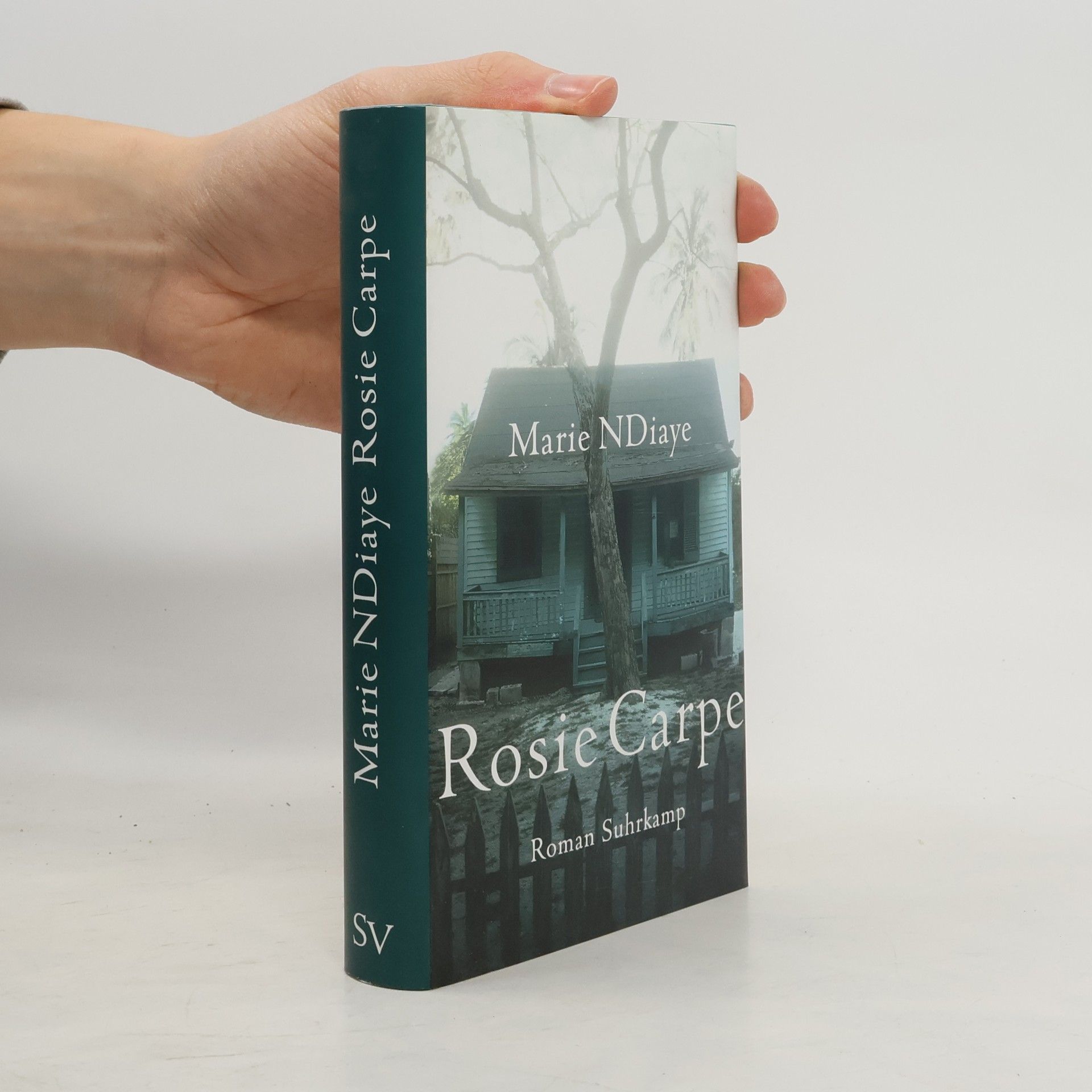 Marie Ndiaye Rosie Carpe