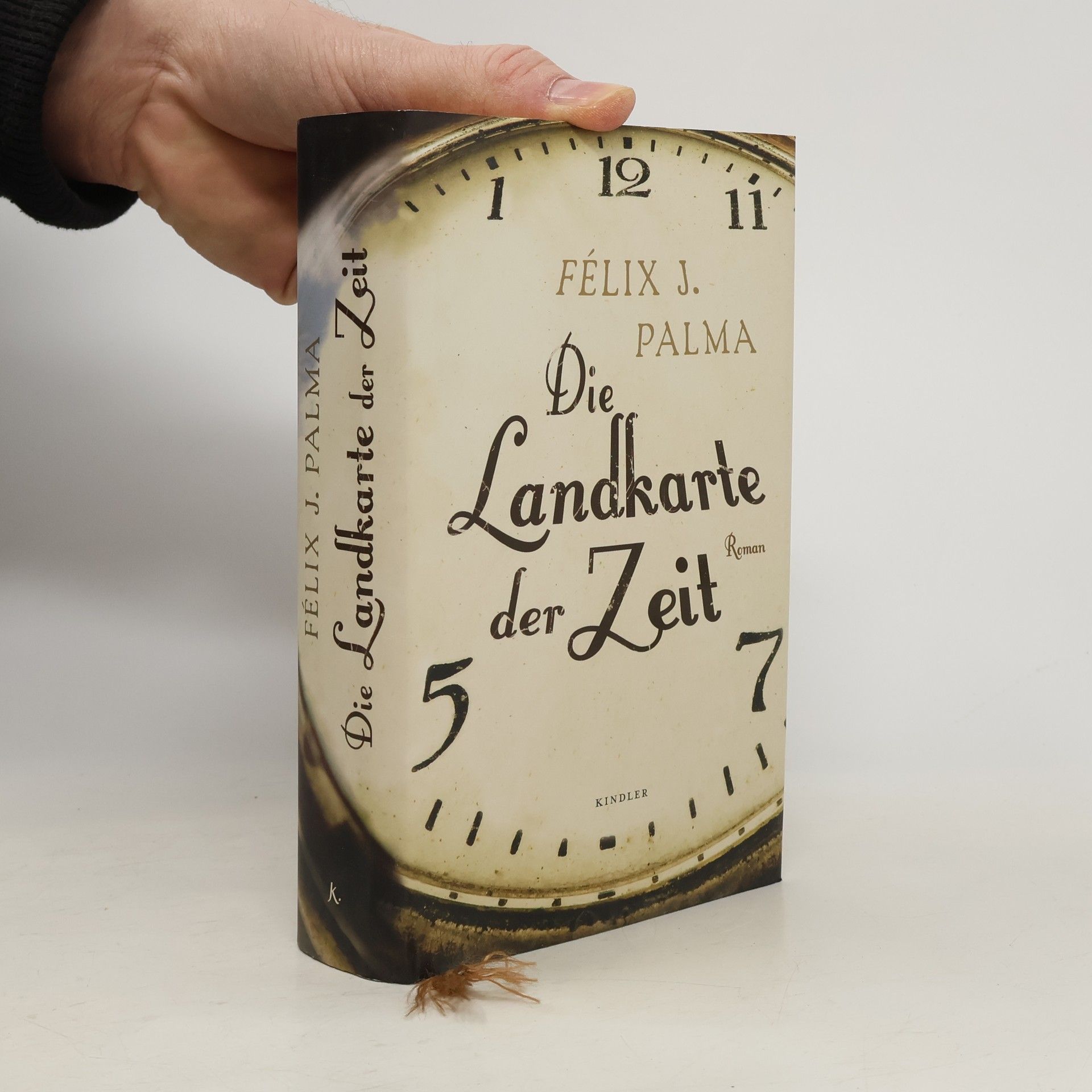 Félix J. Palma Die Landkarte der Zeit