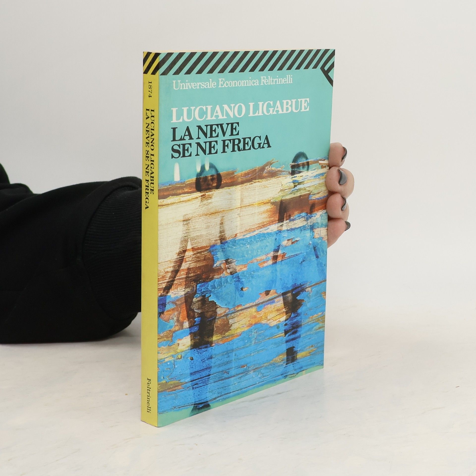 Luciano Ligabue La neve se ne frega