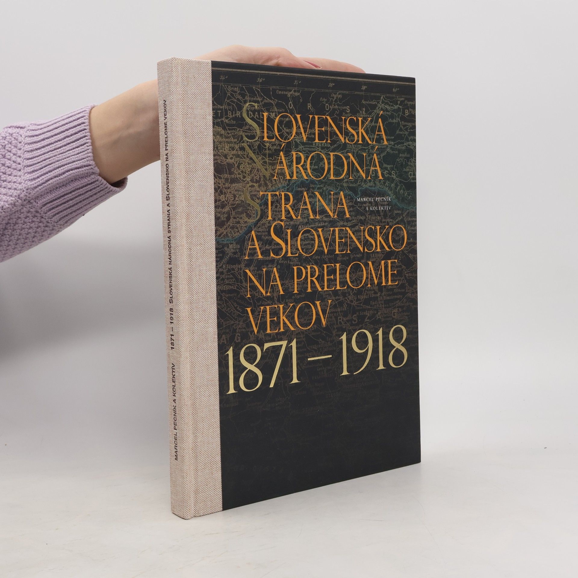 Auteurscollectief Slovenská národná strana a Slovensko na prelome vekov 1871-1918