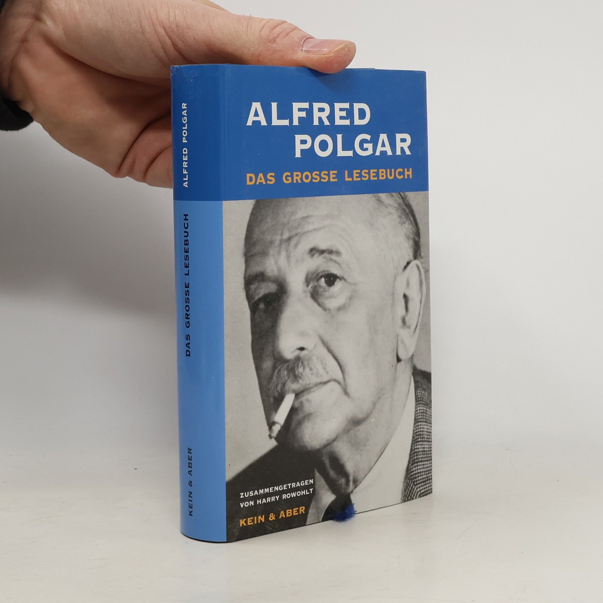 Alfred Polgar Das große Lesebuch