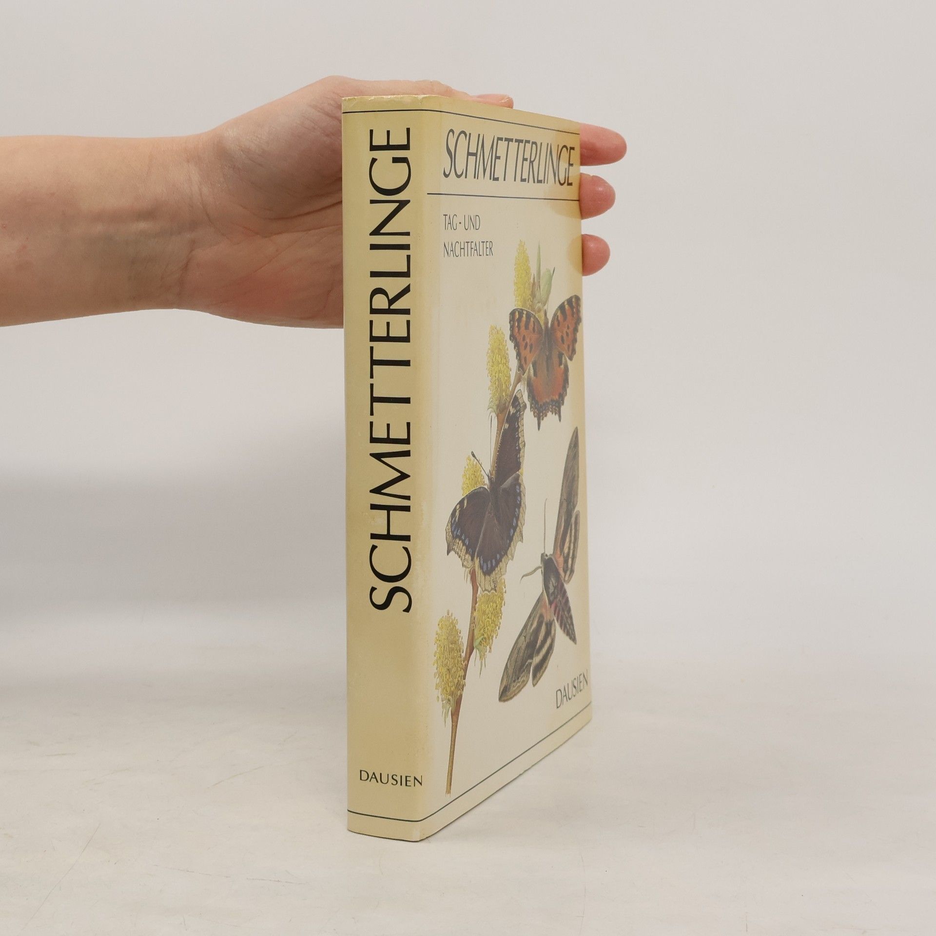 Ivo Novák Schmetterlinge