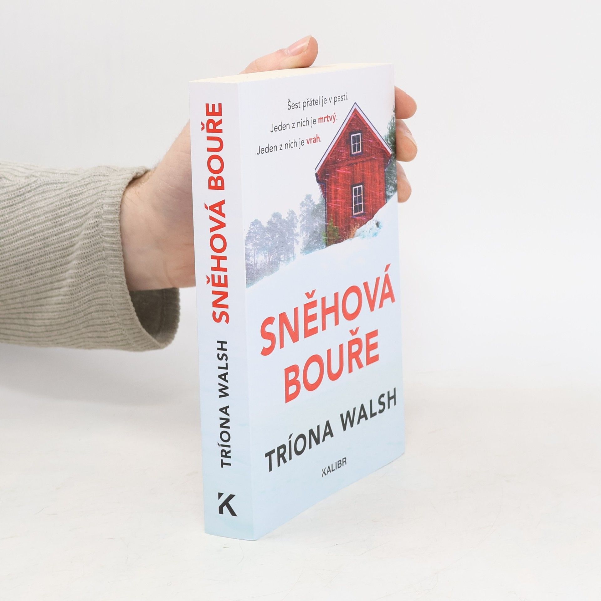 Tríona Walsh Sněhová bouře