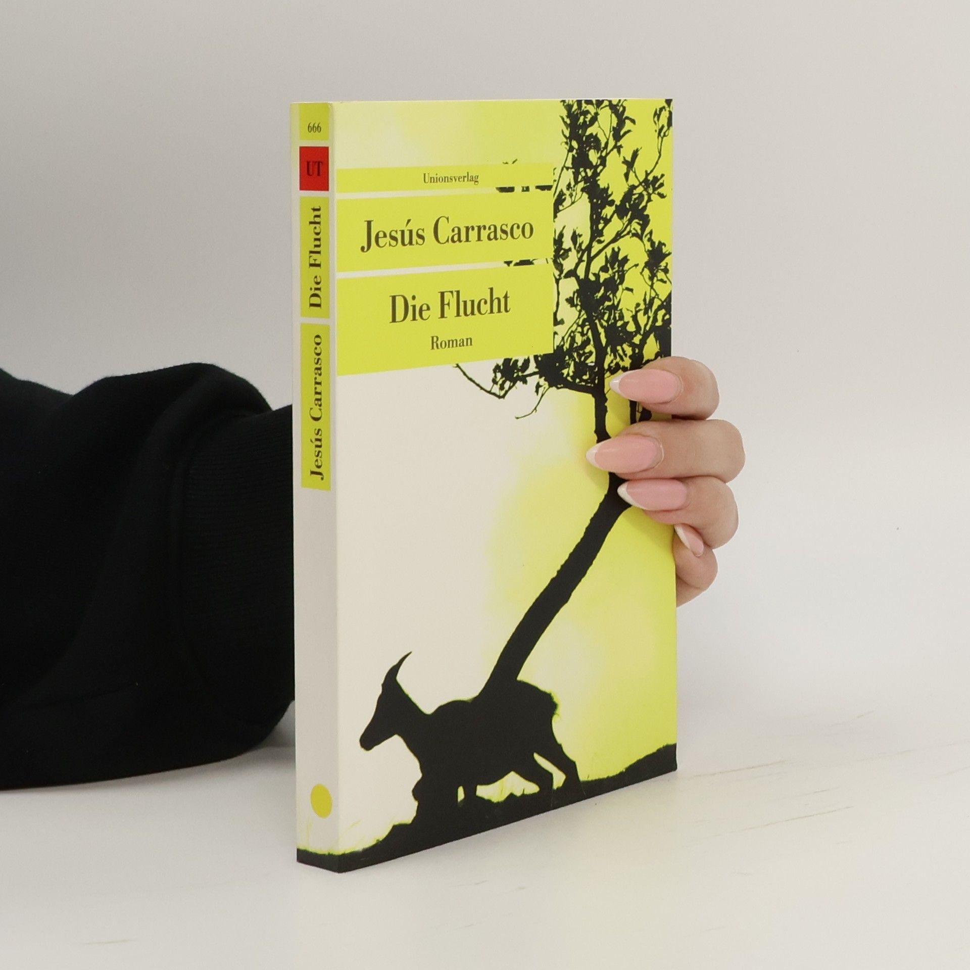 Carrasco Jesús Die Flucht