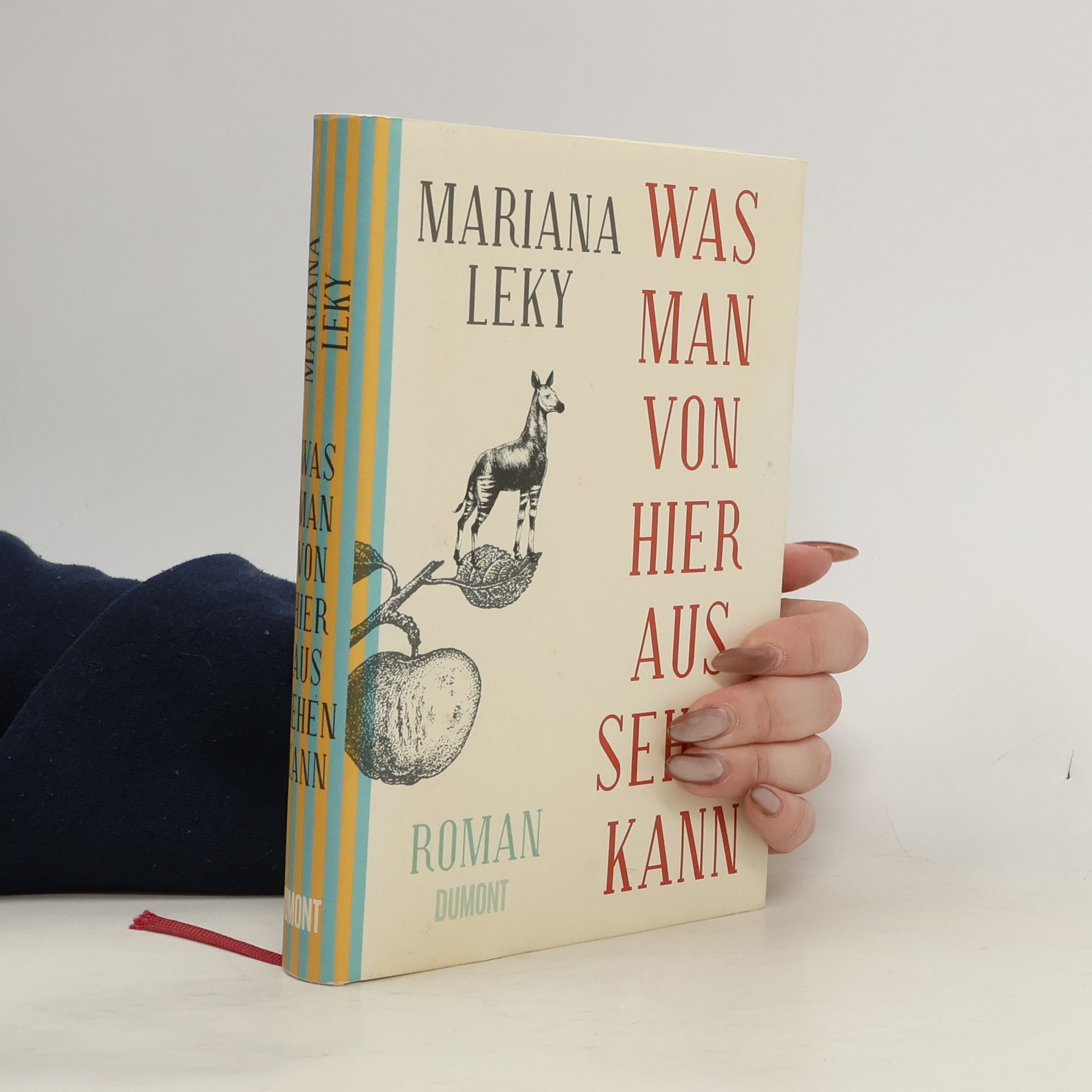 Mariana Leky Was man von hier aus sehen kann