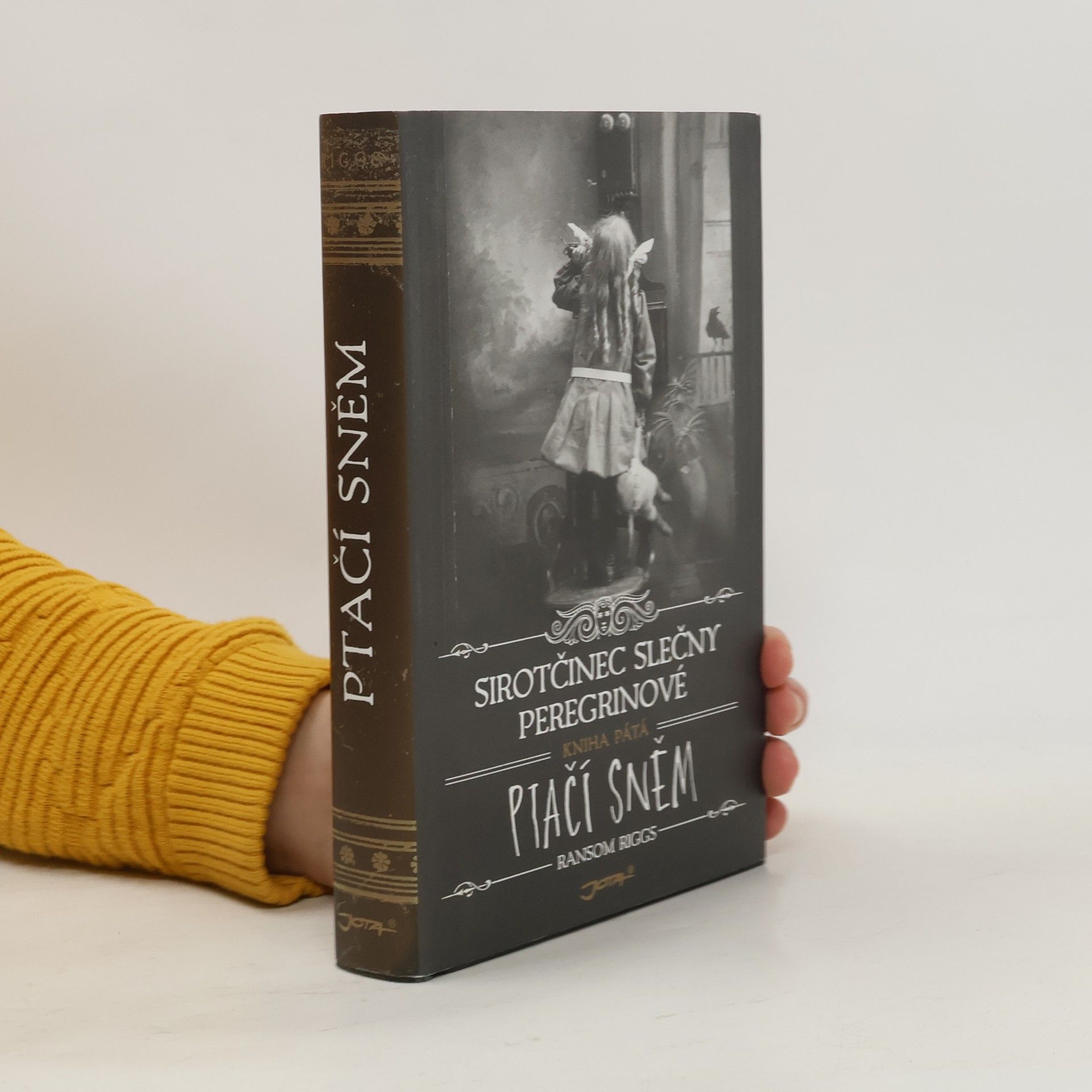 Ransom Riggs Ptačí sněm