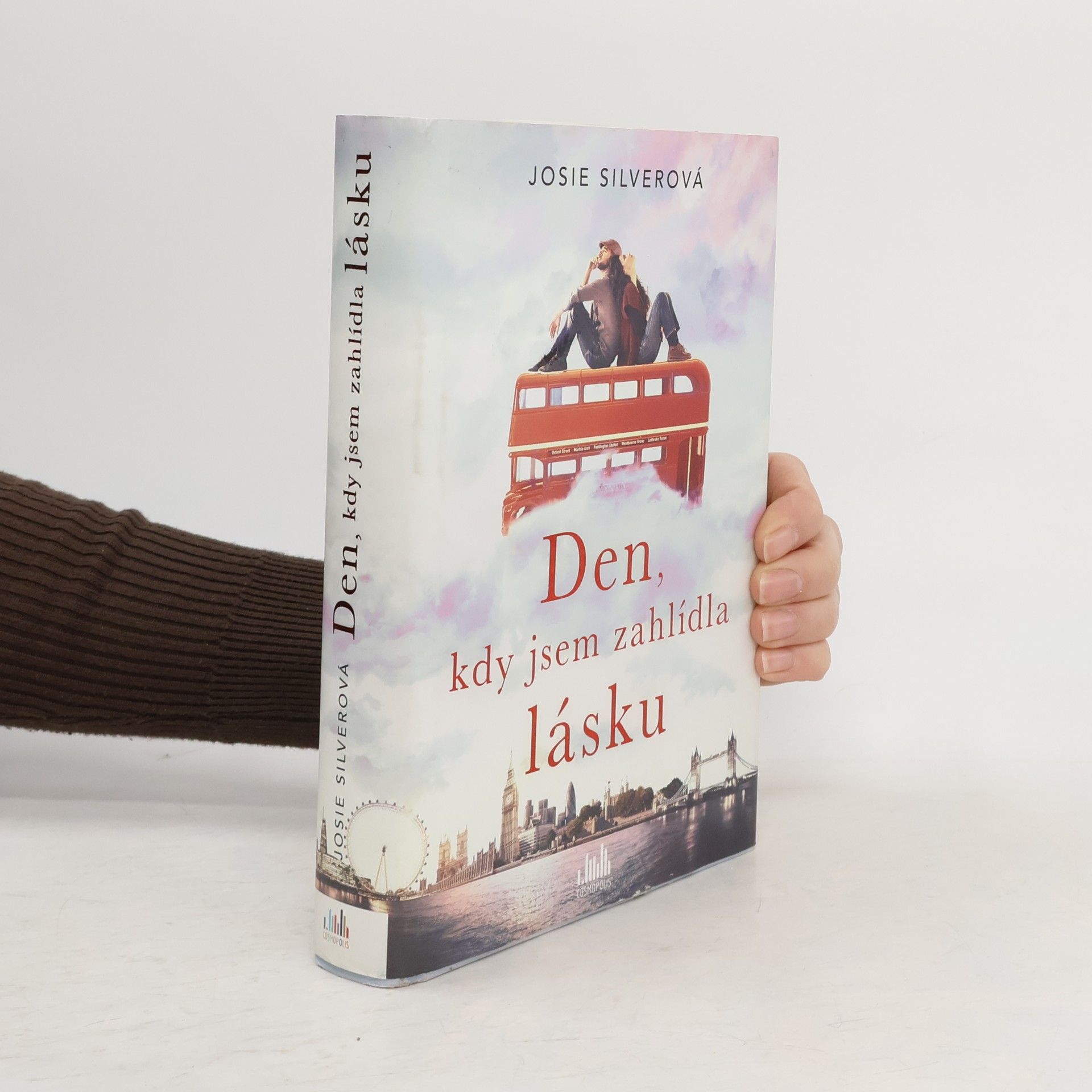 Josie Silver Den, kdy jsem zahlídla lásku