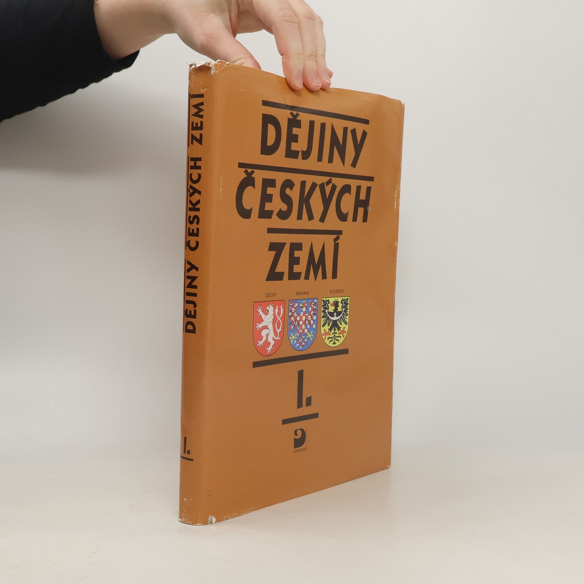 Dějiny českých zemí. 1, Od pravěku do poloviny 18. století