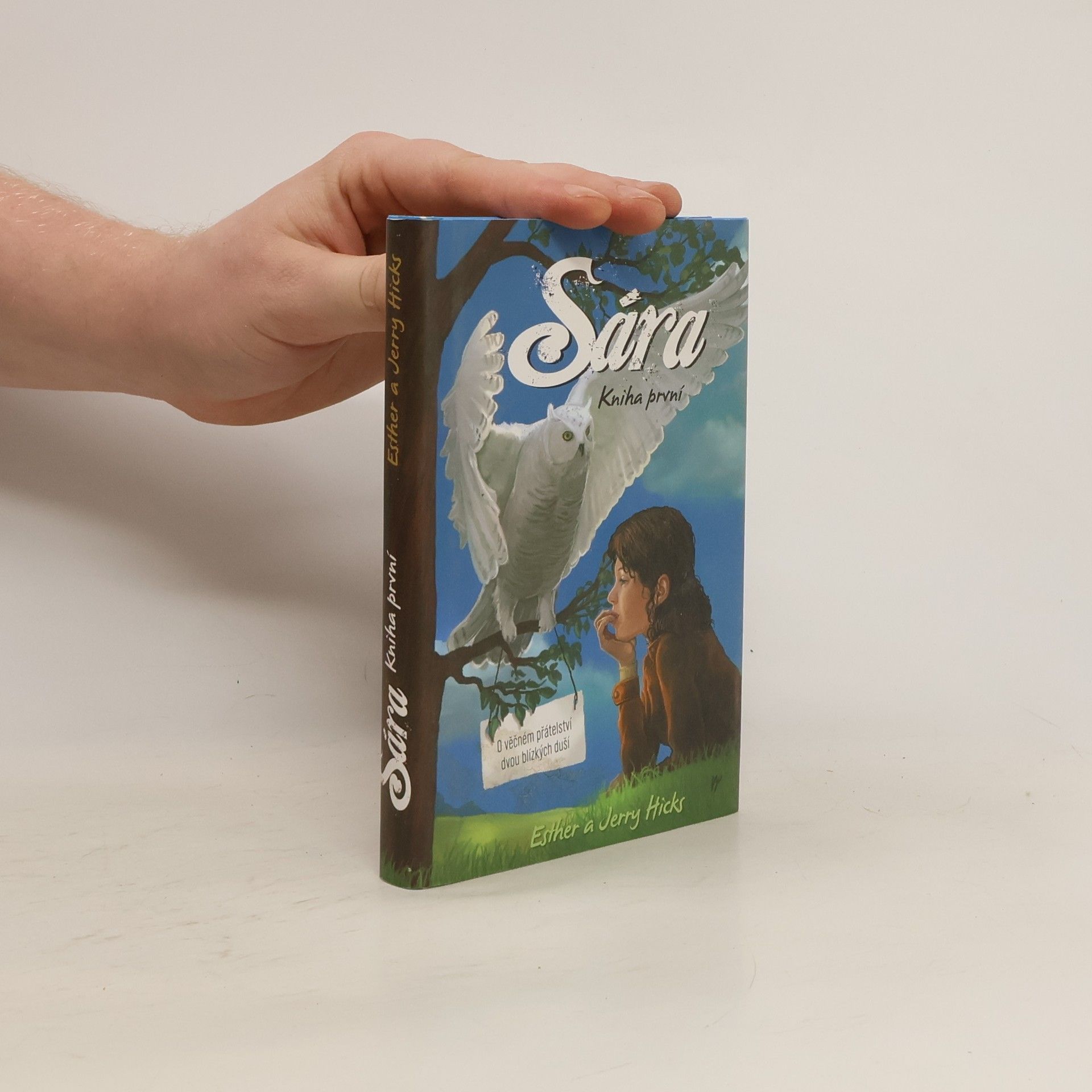Esther Hicks Sára. Kniha první, O věčném přátelství dvou blízkých duší