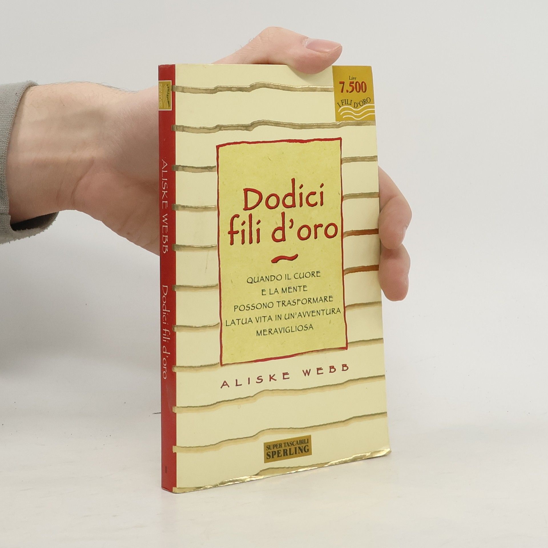 Dodici fili d'oro. Quando il cuore e la mente possono trasformare la tua vita in un'avventura meravigliosa