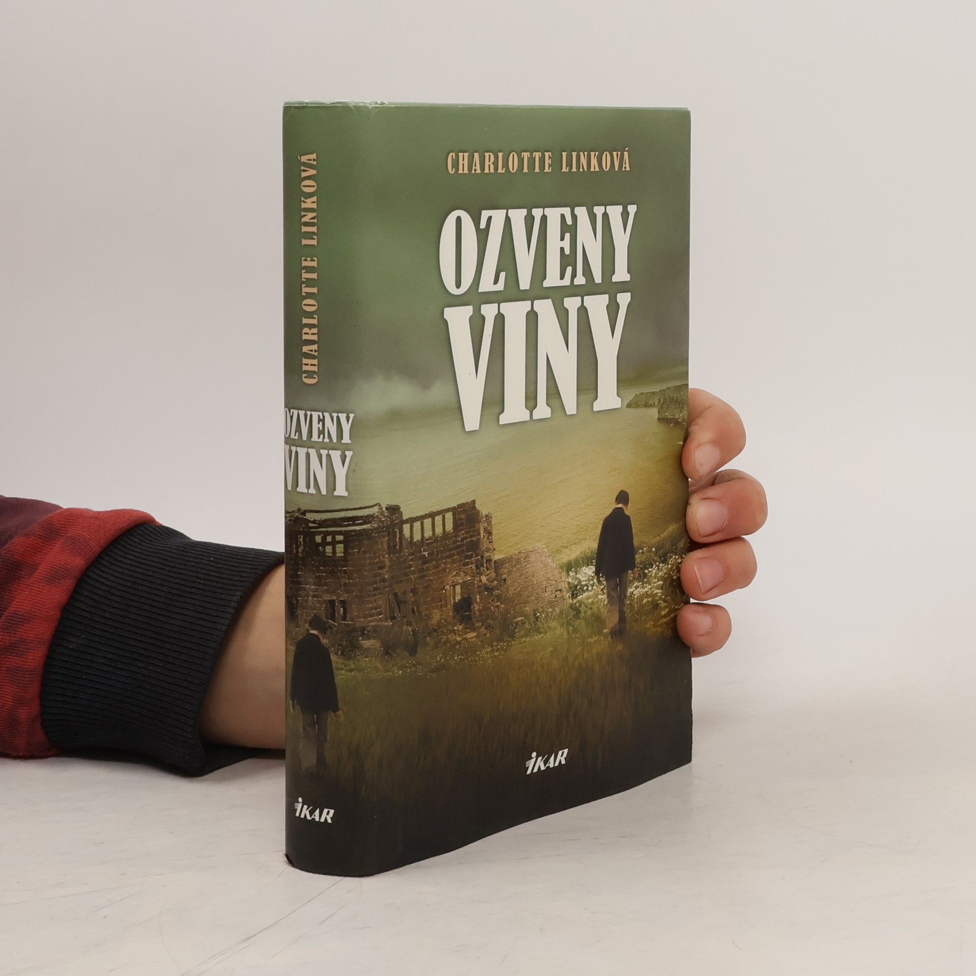 Charlotte Link Ozveny viny