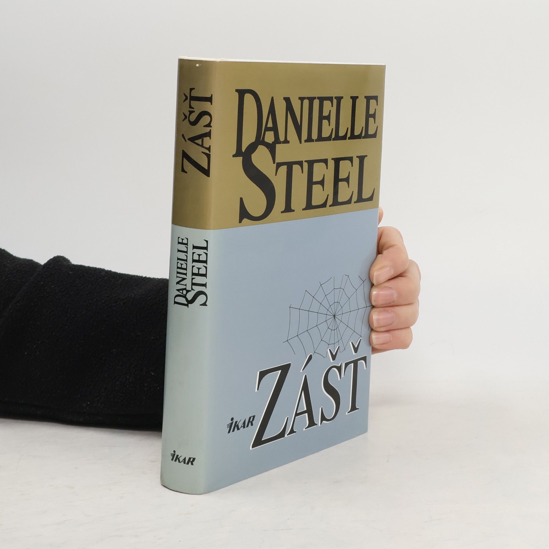 Danielle Steel Zášť