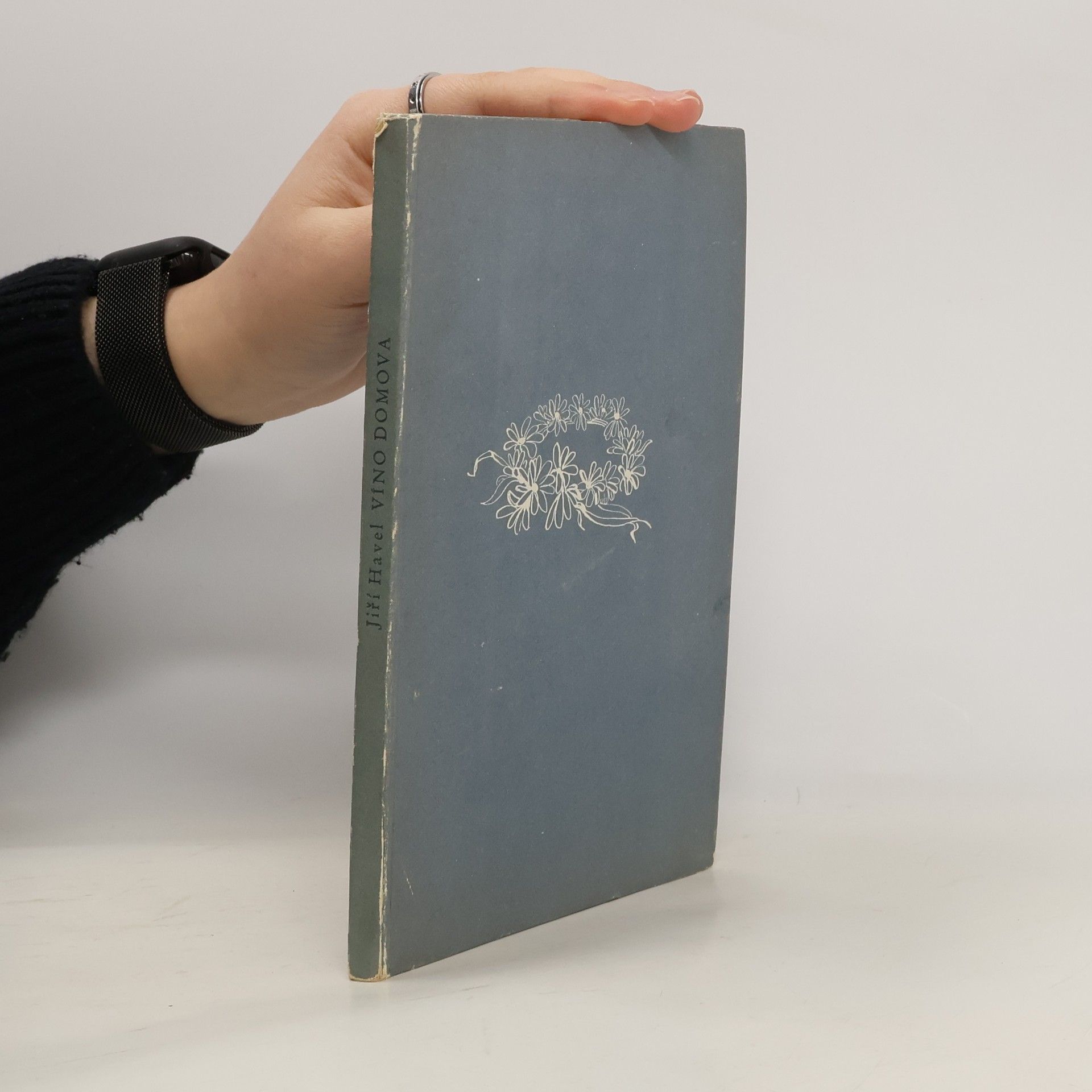 Jiří Havel Víno domova