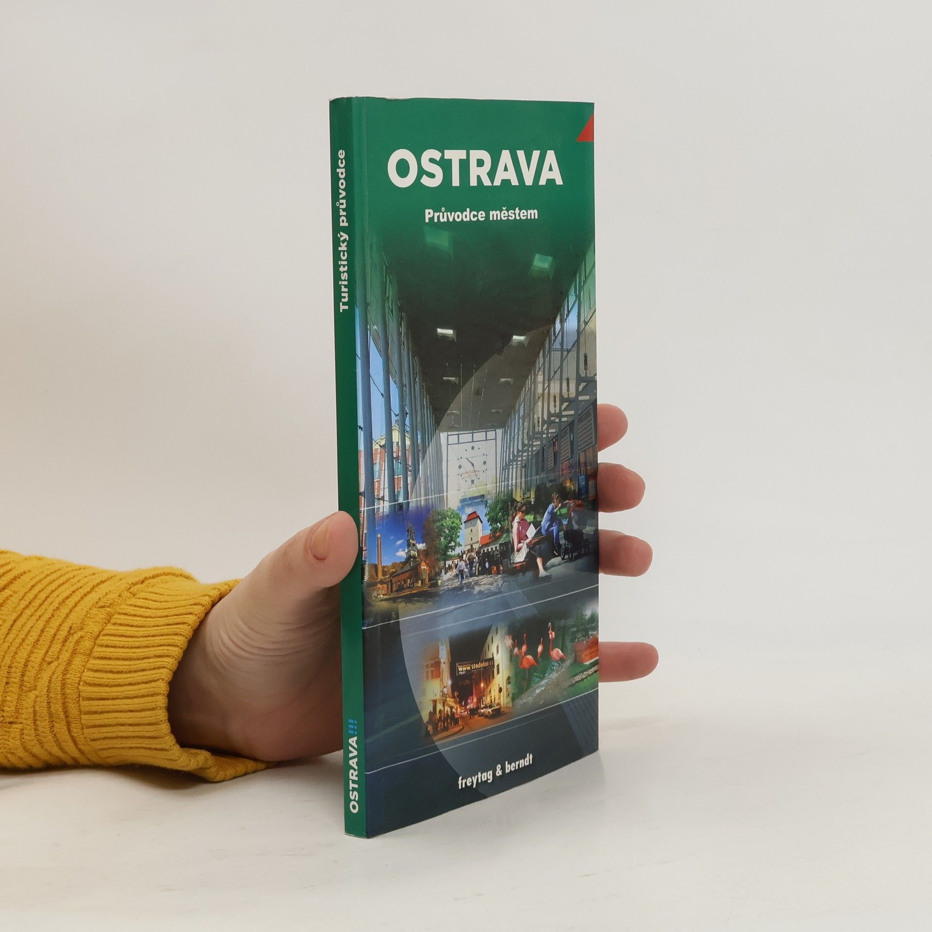 Vladimír Šmehlík Ostrava: Průvodce městem