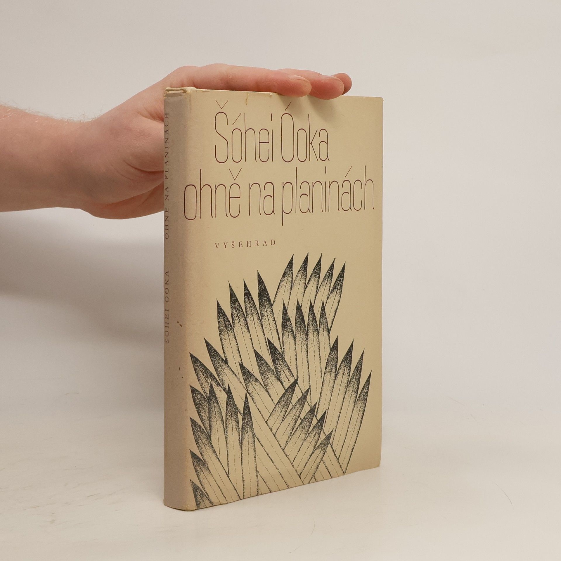 Shōhei Ōoka Ohně na planinách