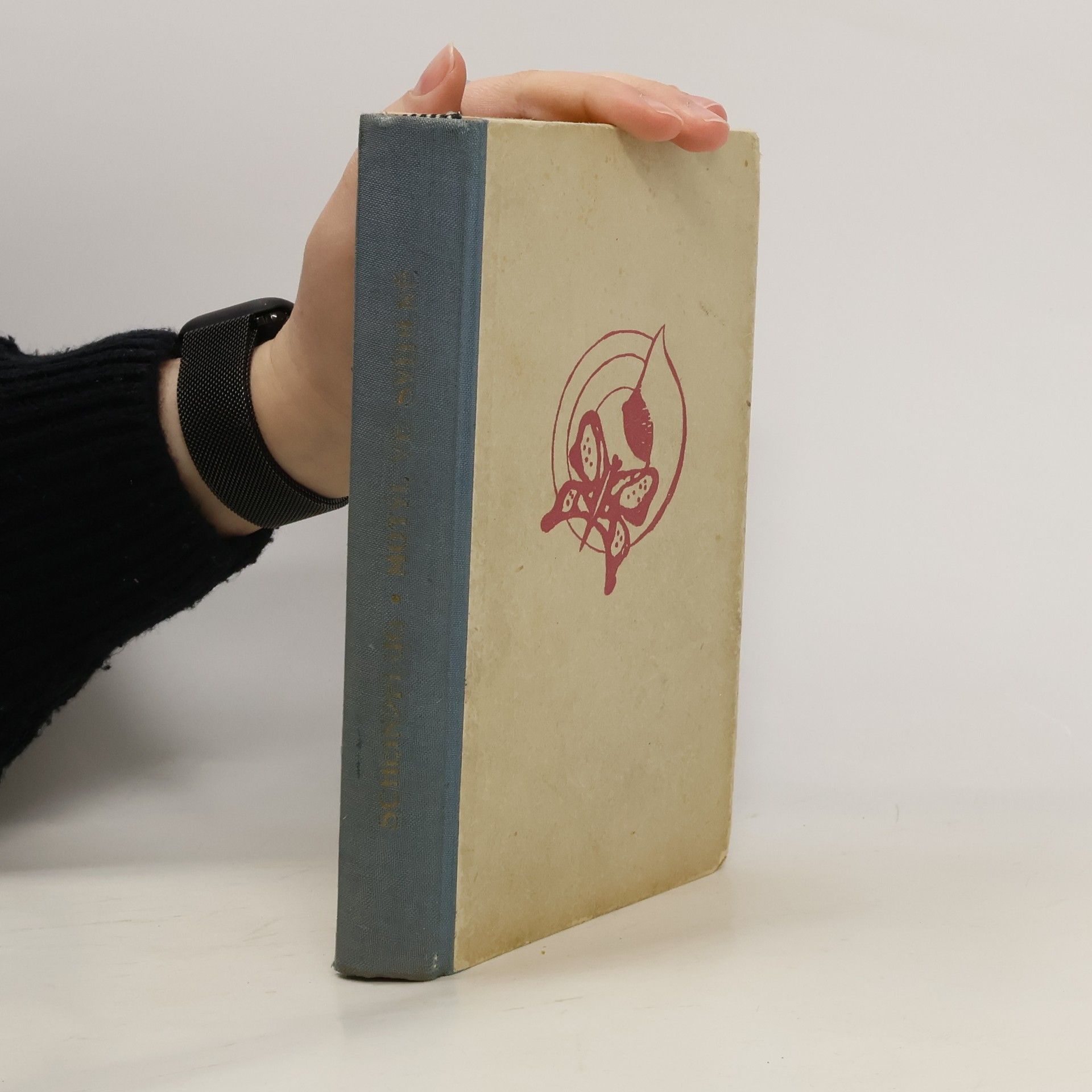 Karel Scheinpflug Motýl ve svítilně : Román