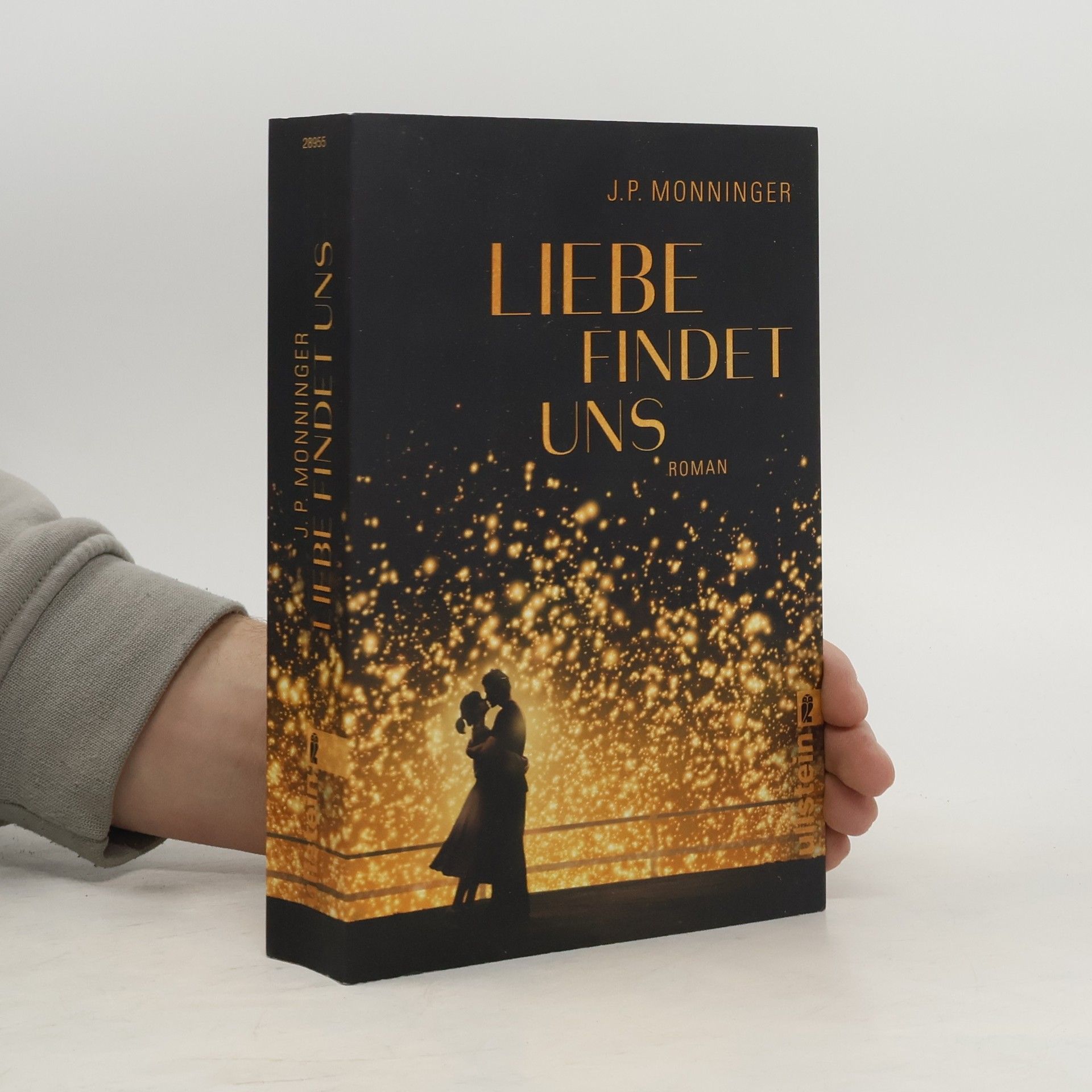 Joe Monninger Liebe findet uns