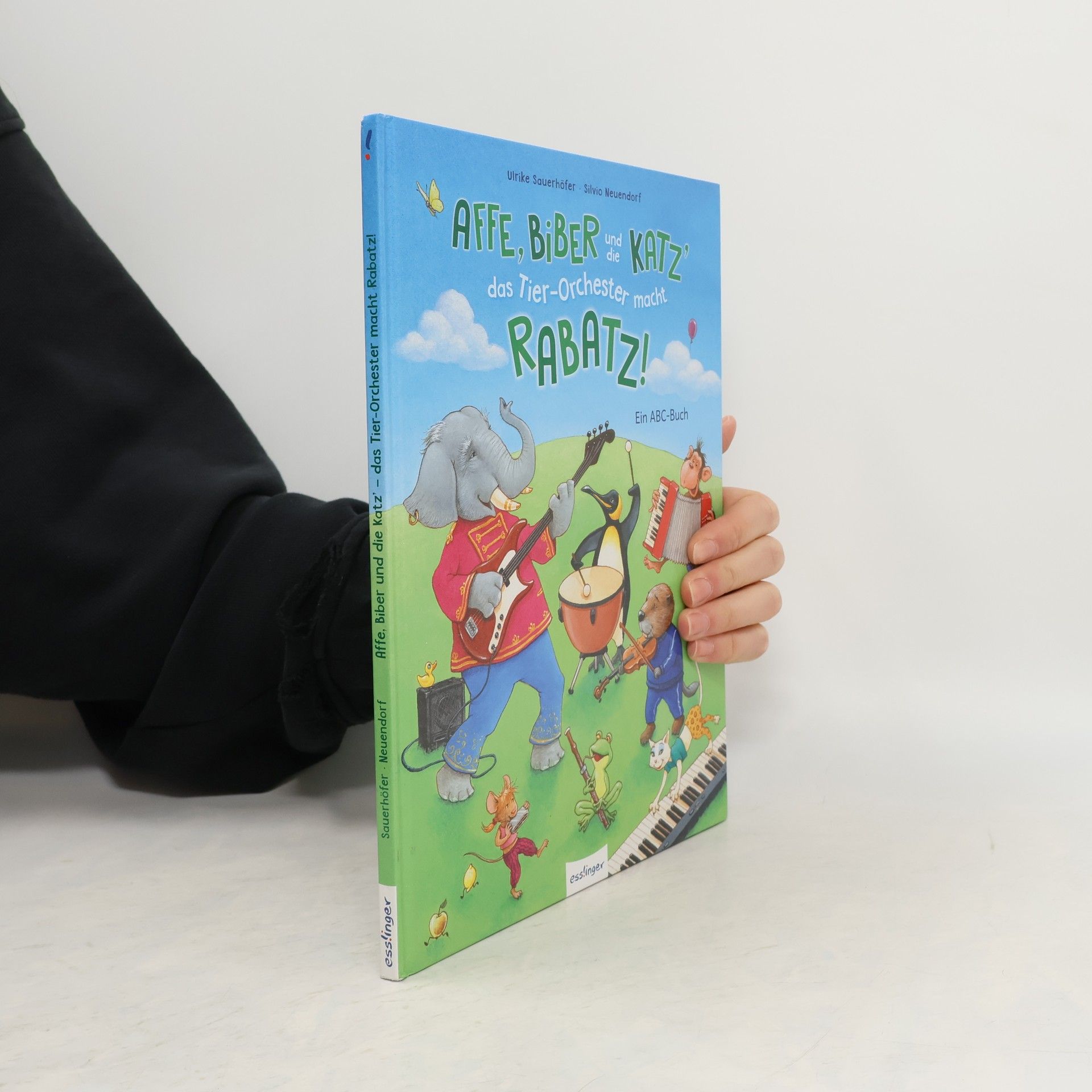 Ulrike Sauerhöfer Affe, Biber und die Katz' - das Tier-Orchester macht Rabatz!