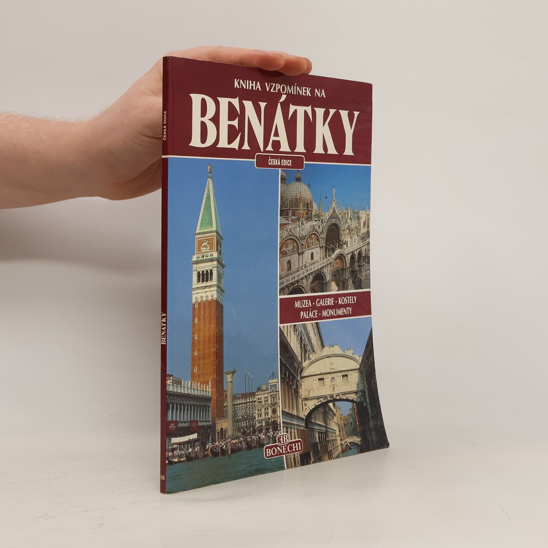 Františka Lopatová Senesi Kniha vzpomínek na Benátky