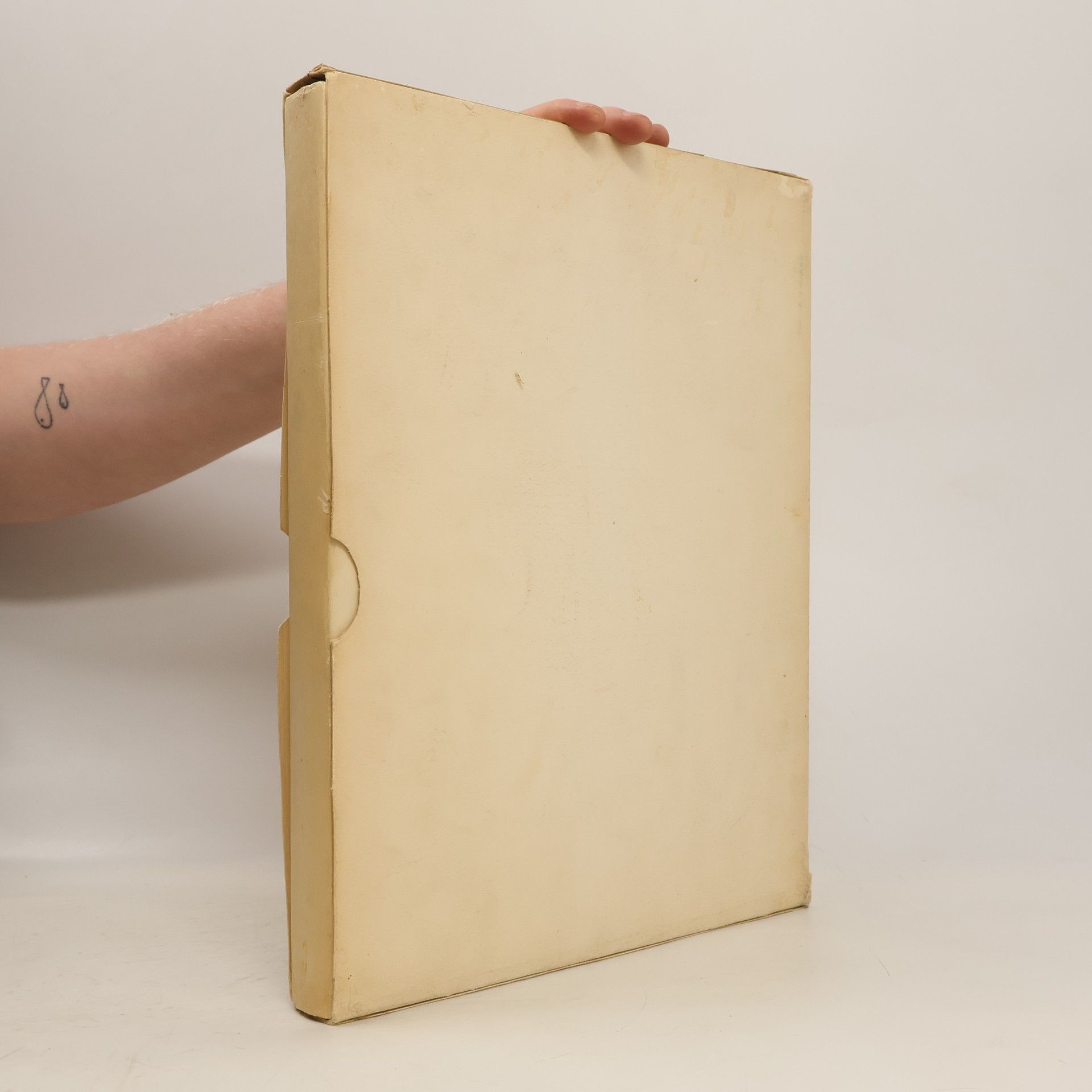 Der französische Impressionismus